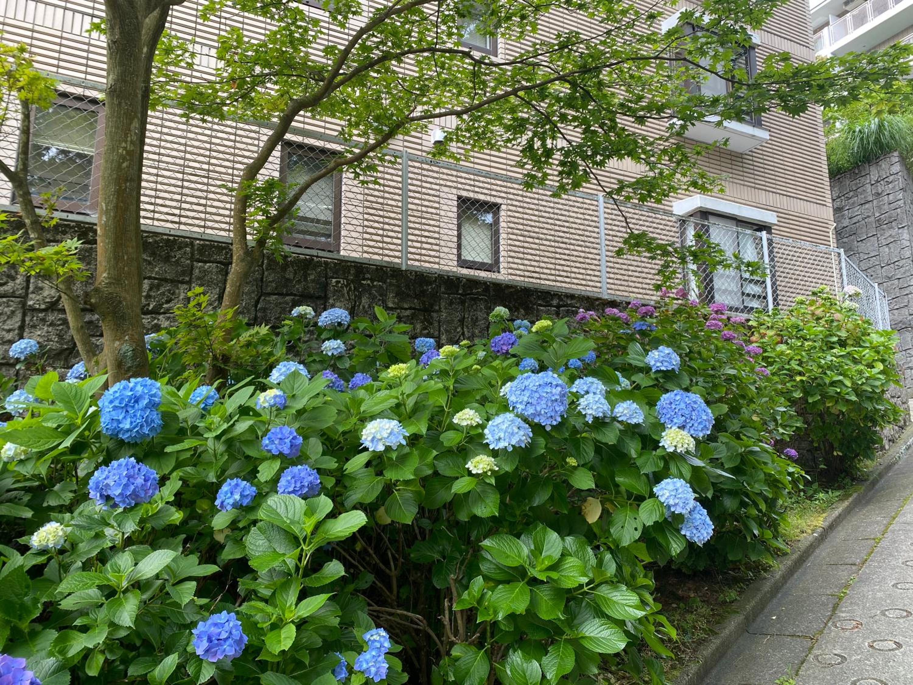Photo 21