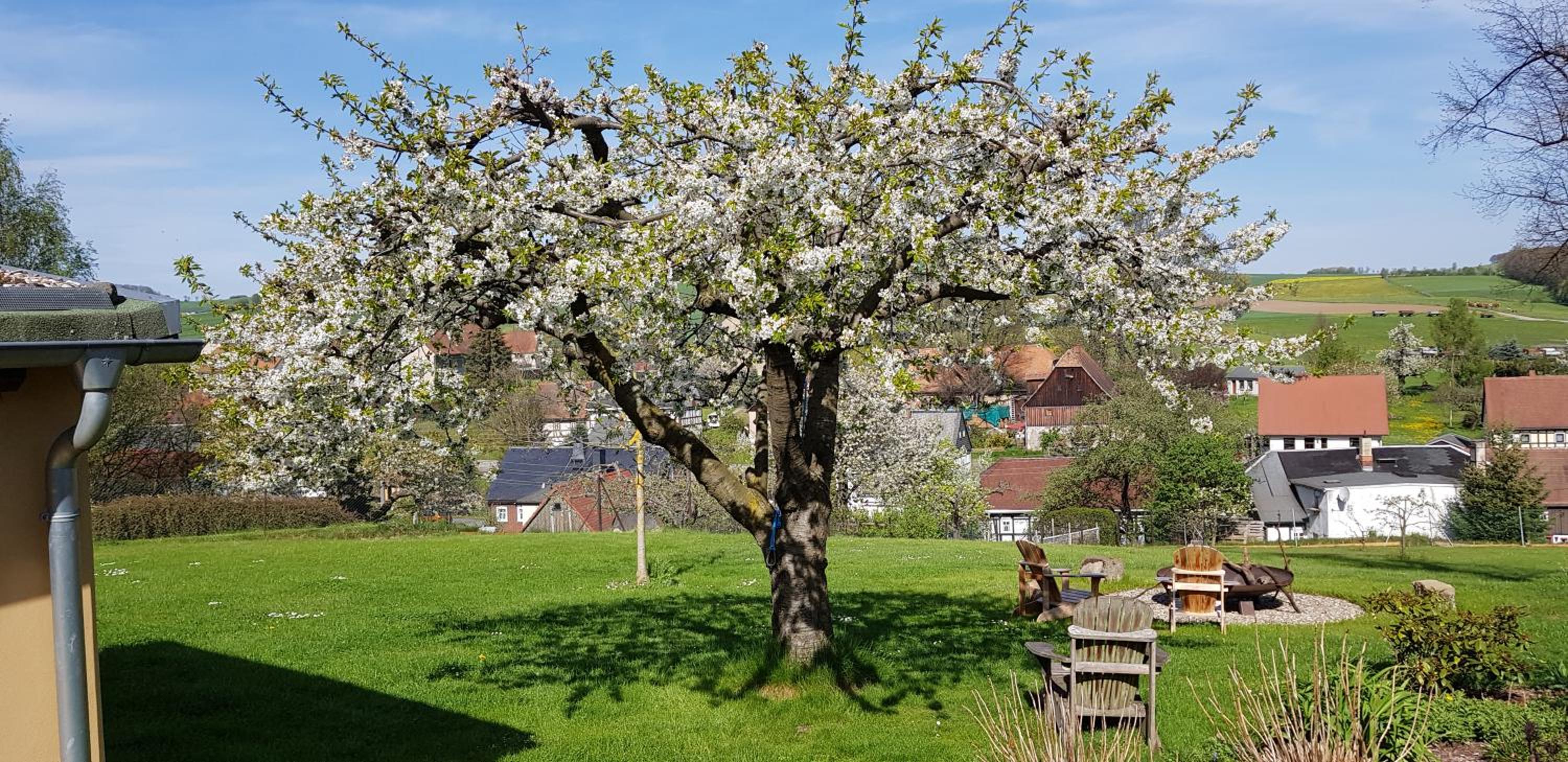 Hossies Hof - Elke