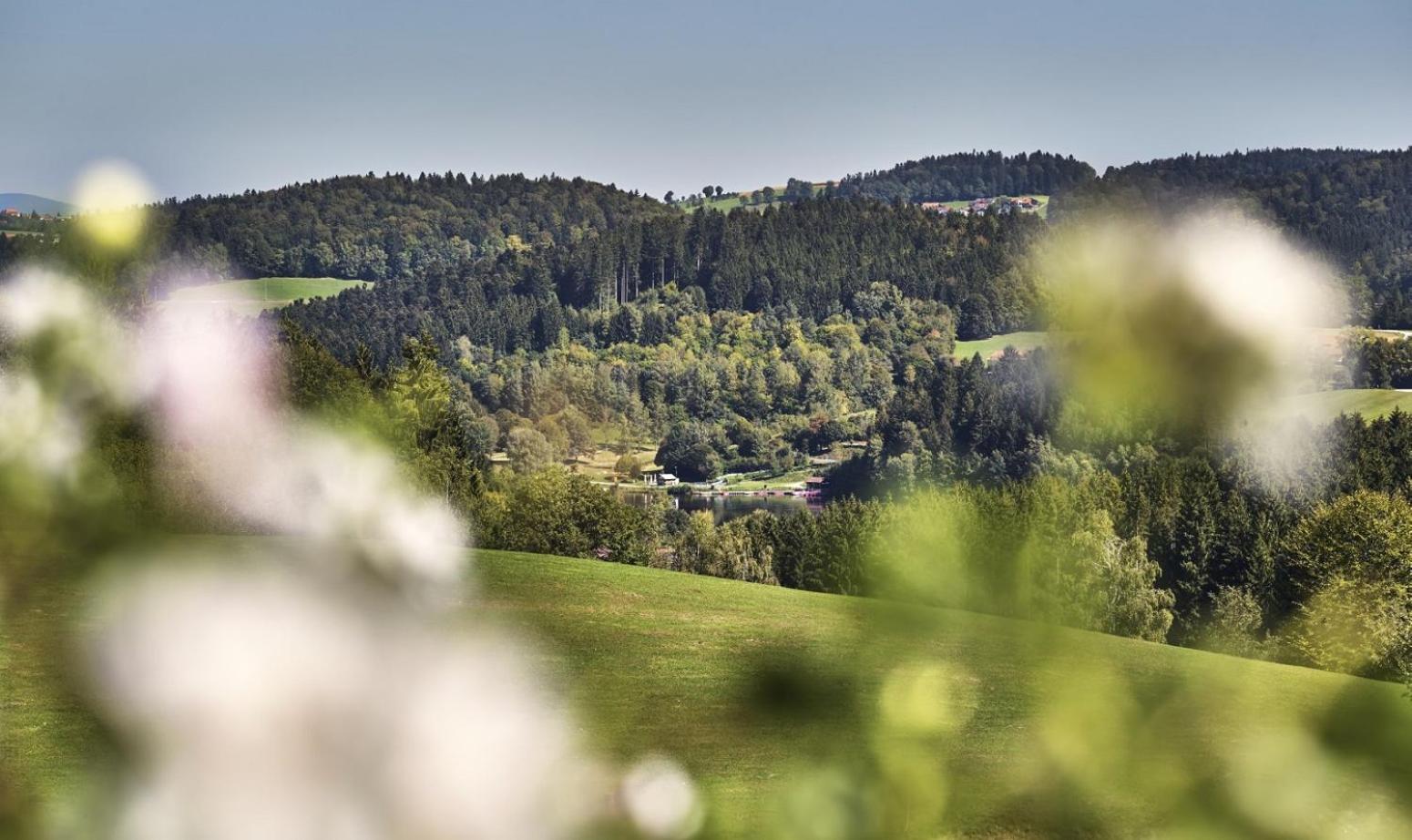 Bio-Ferienhof Höfler