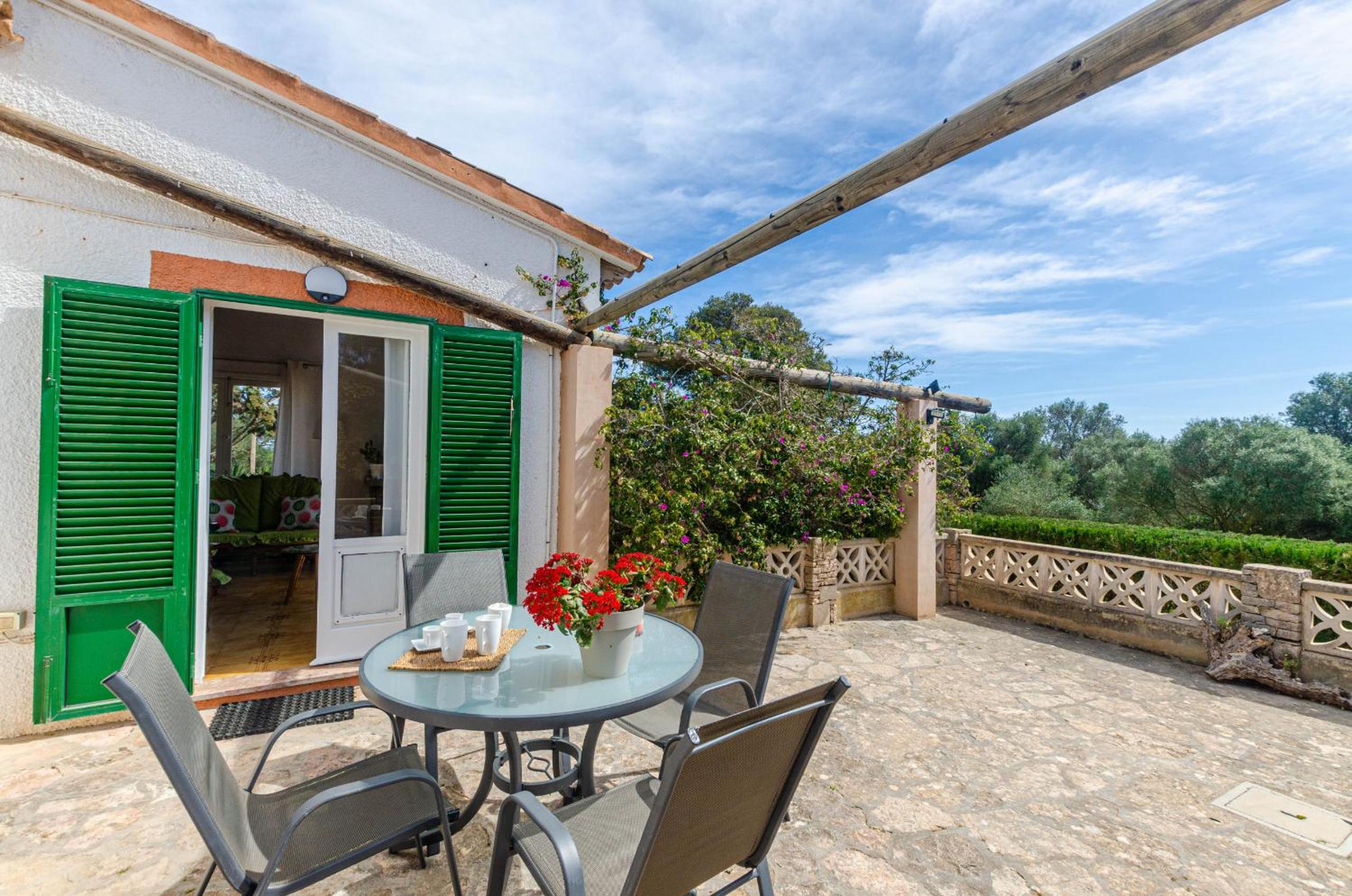 YourHouse Sa Caseta de Shorta