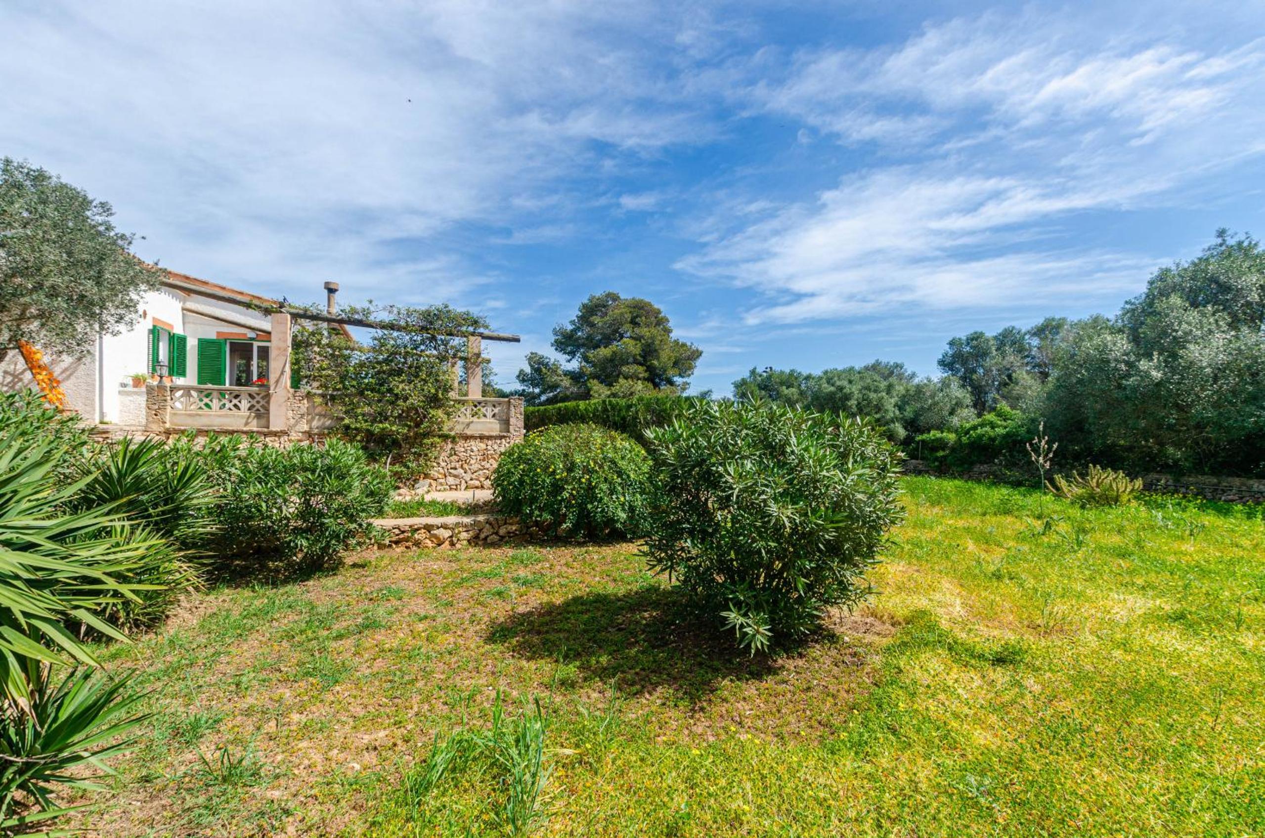 YourHouse Sa Caseta de Shorta