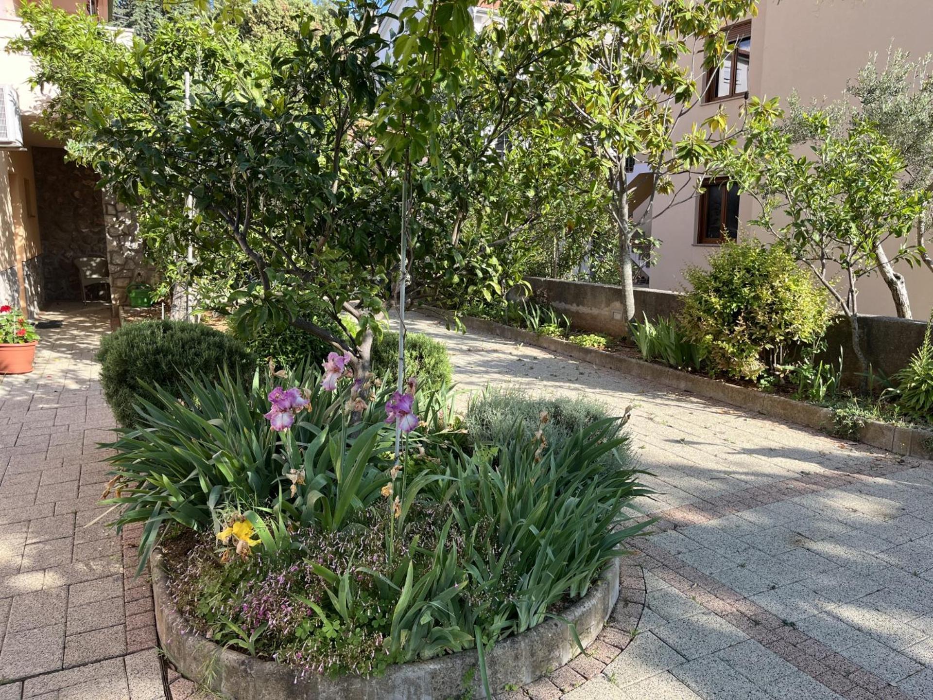 Apartman Ruza en Krk