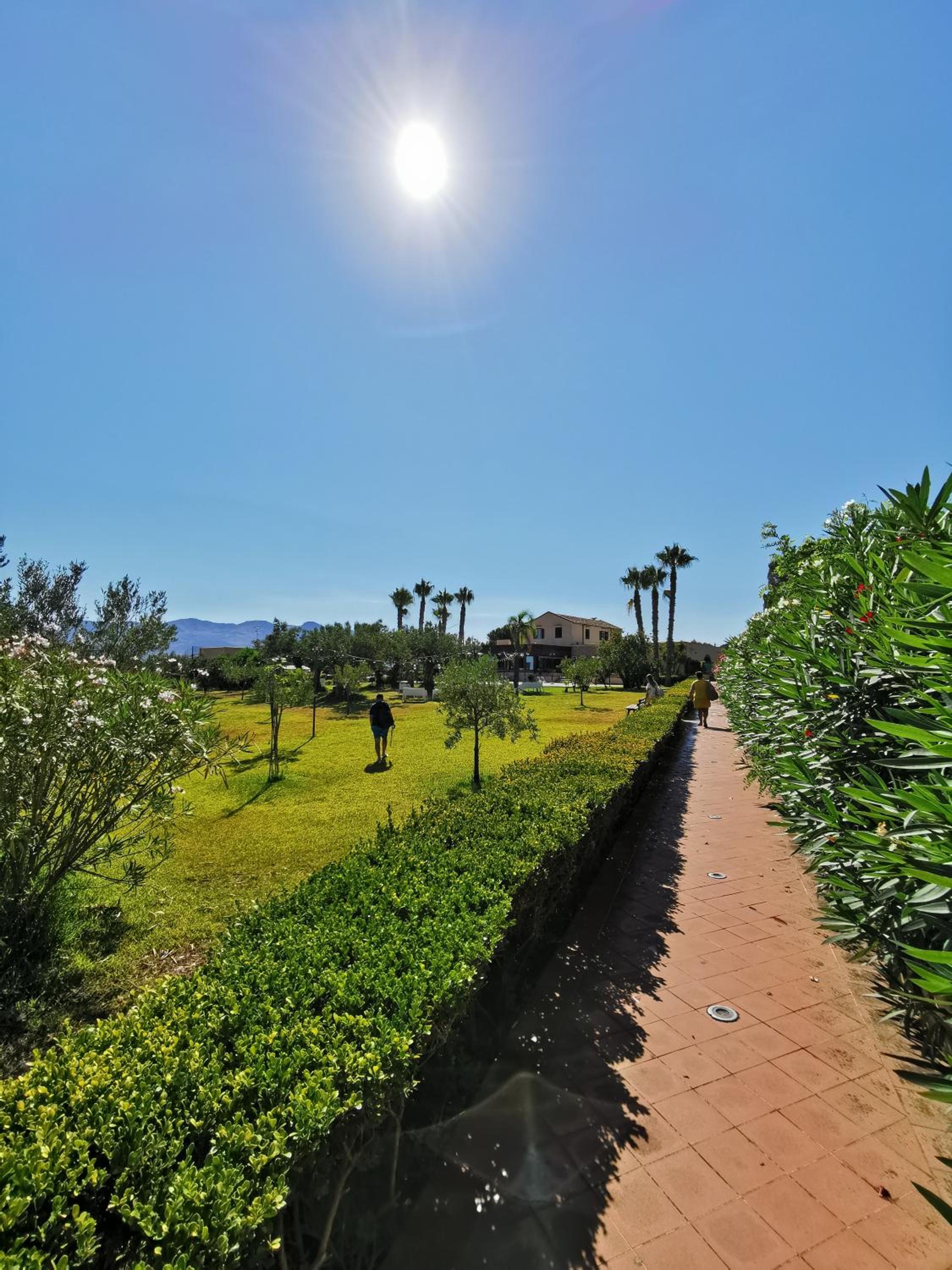 Azienda Agrituristica Baglio Carta view 5