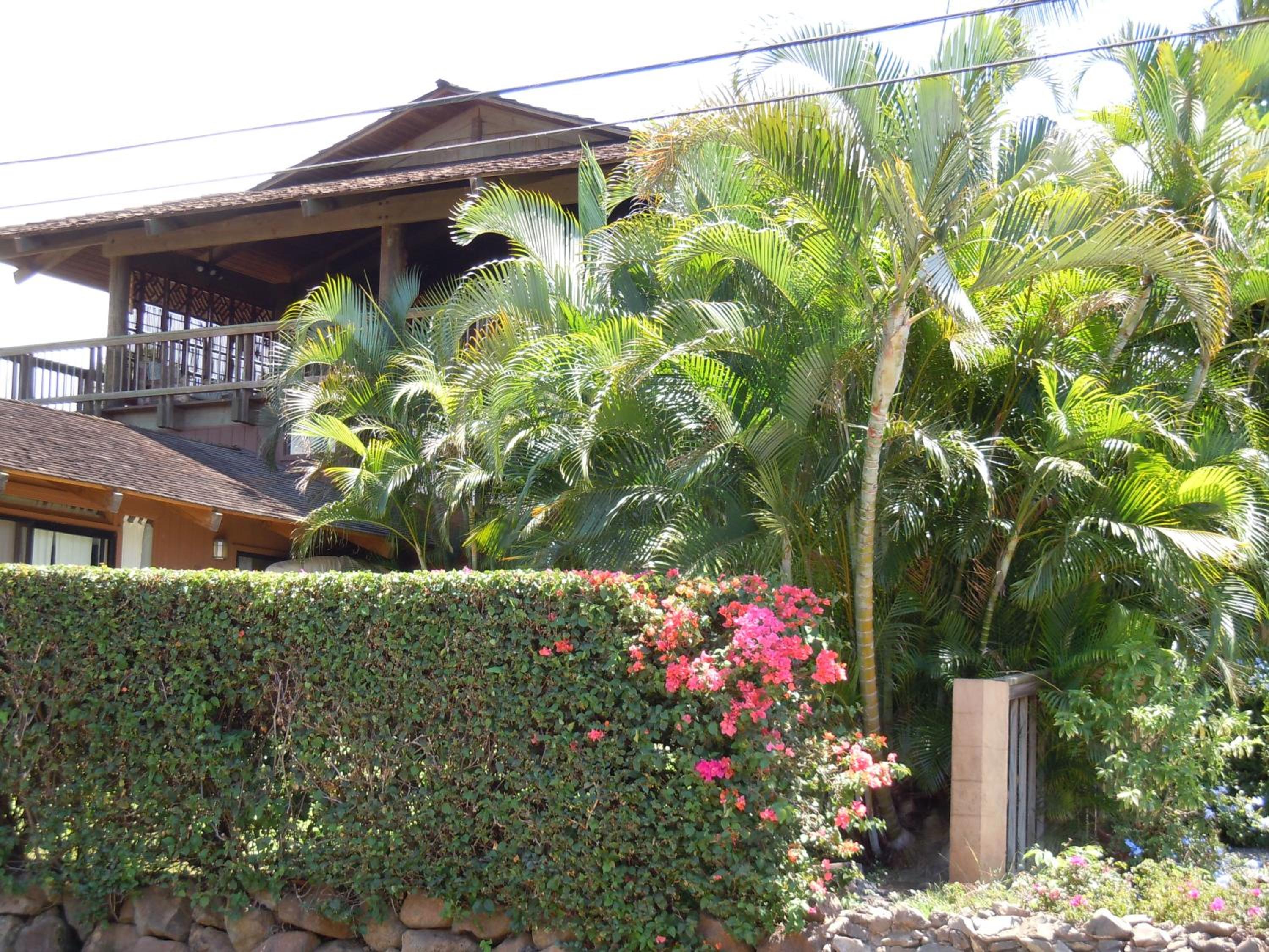 Maui What a Wonderful World Bed & Breakfast view 2