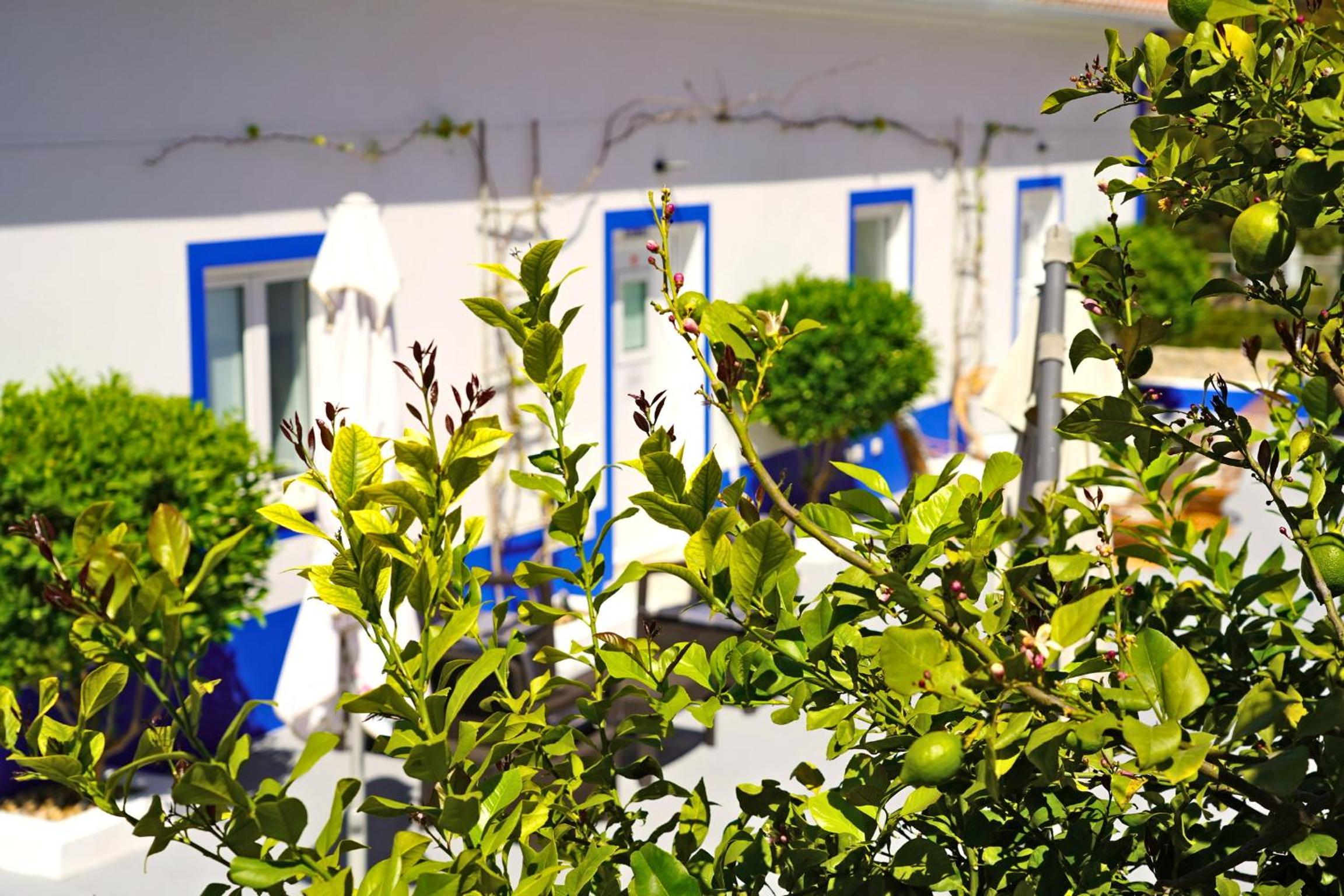Carvoeiro B&B and SPA, Foto 23