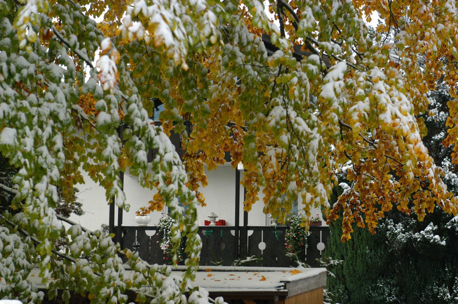 Photo 21