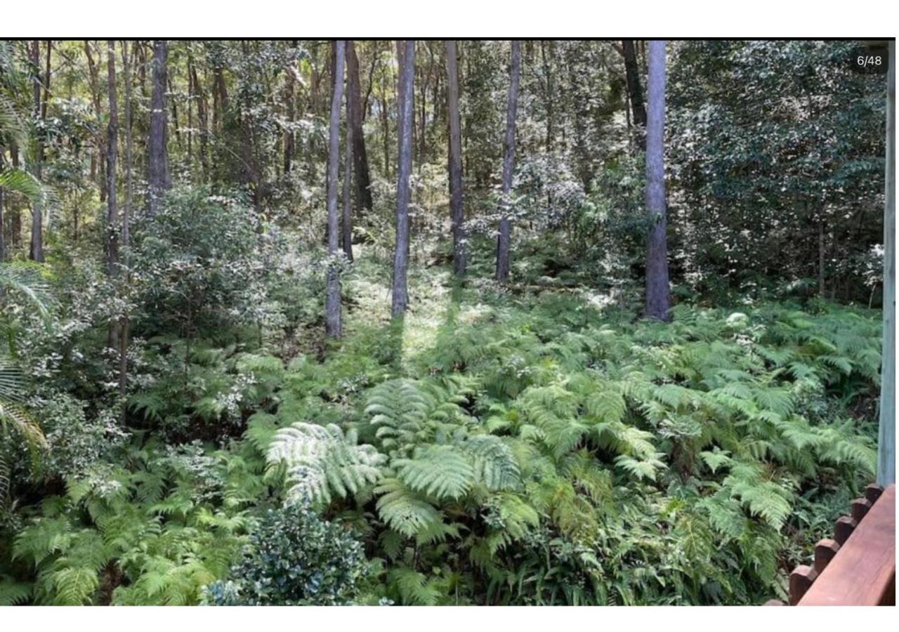 The Forest Buré - Fijian Hinterland Retreat