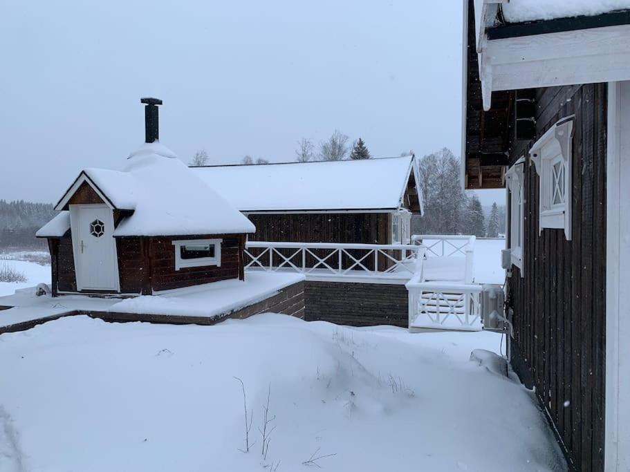 Photo 6