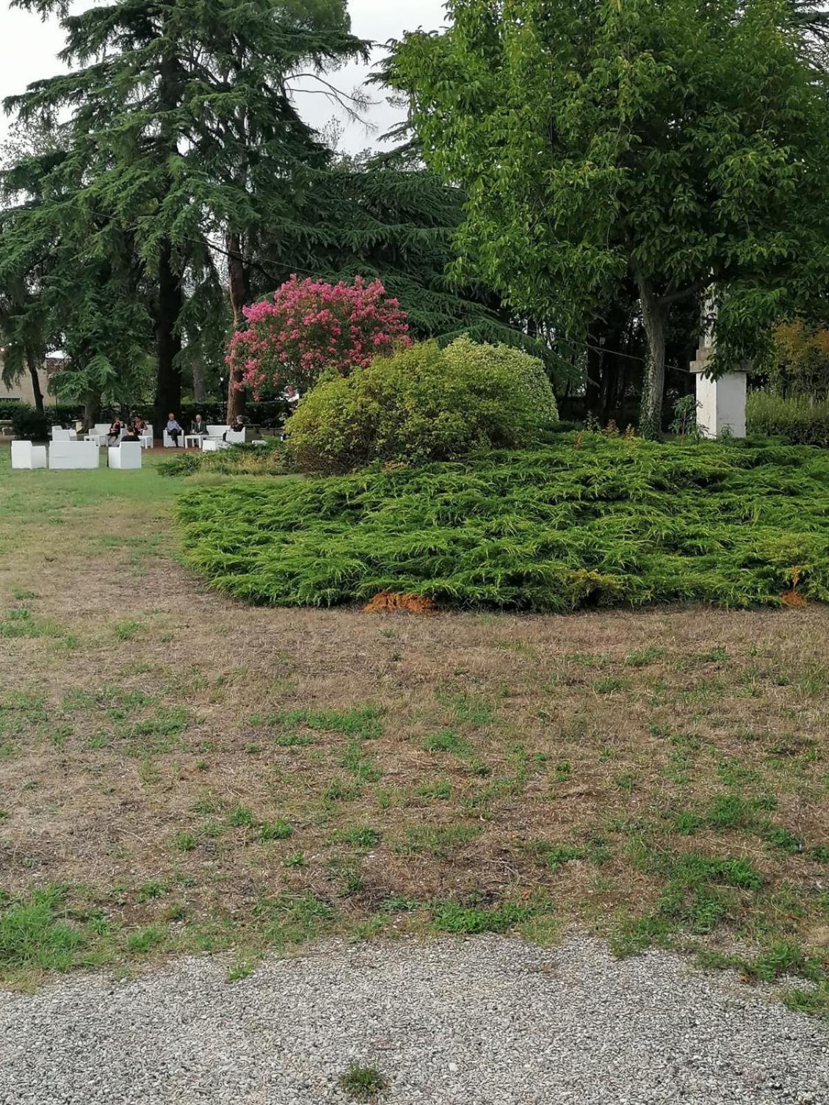 Photo 45