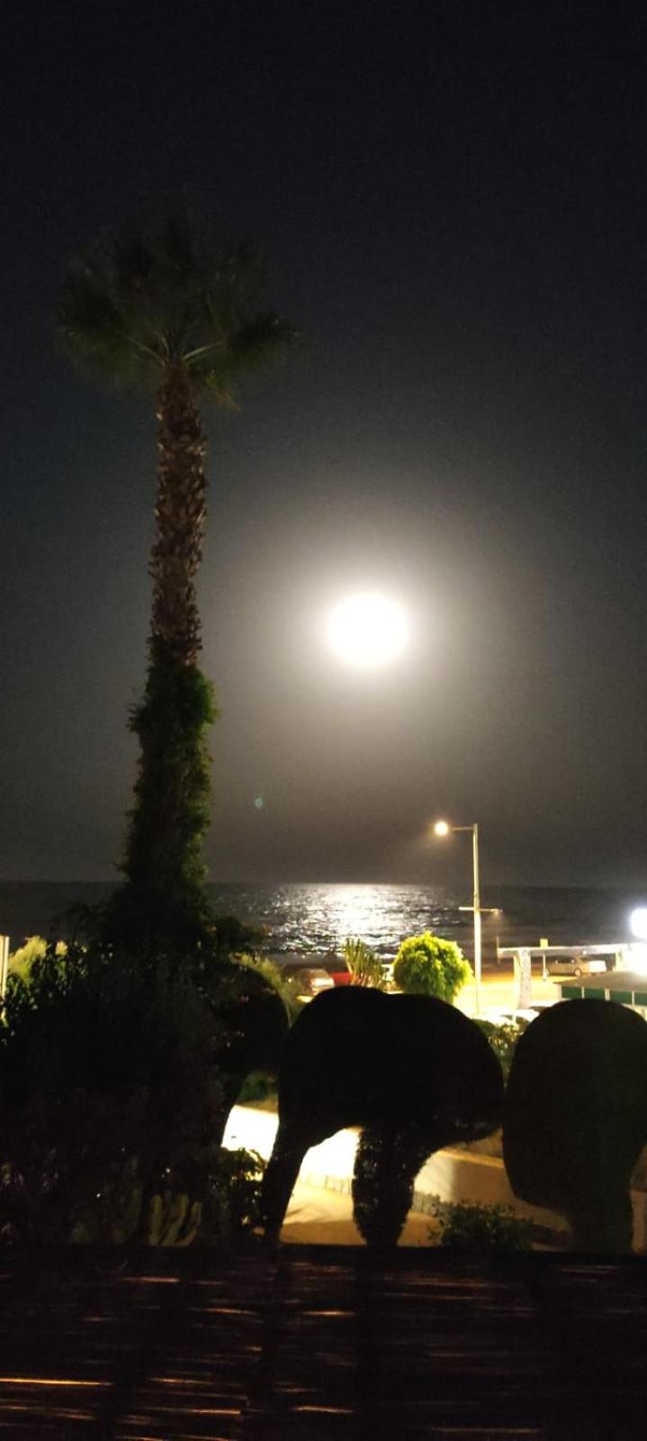 Apartamento a pie de playa - Mojacar photo 2
