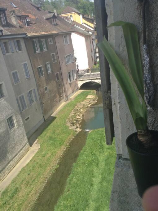 Au Coeur de la vieille ville