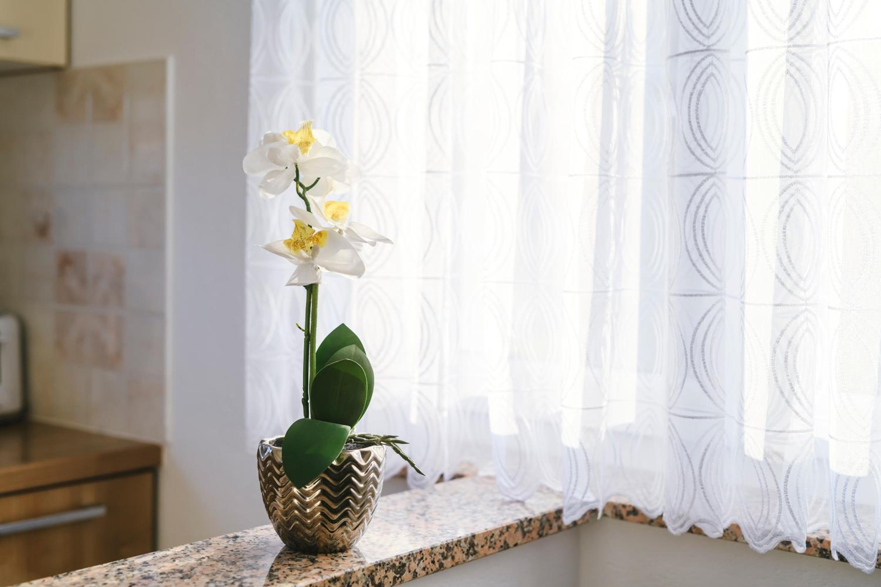 Apartments Mirela