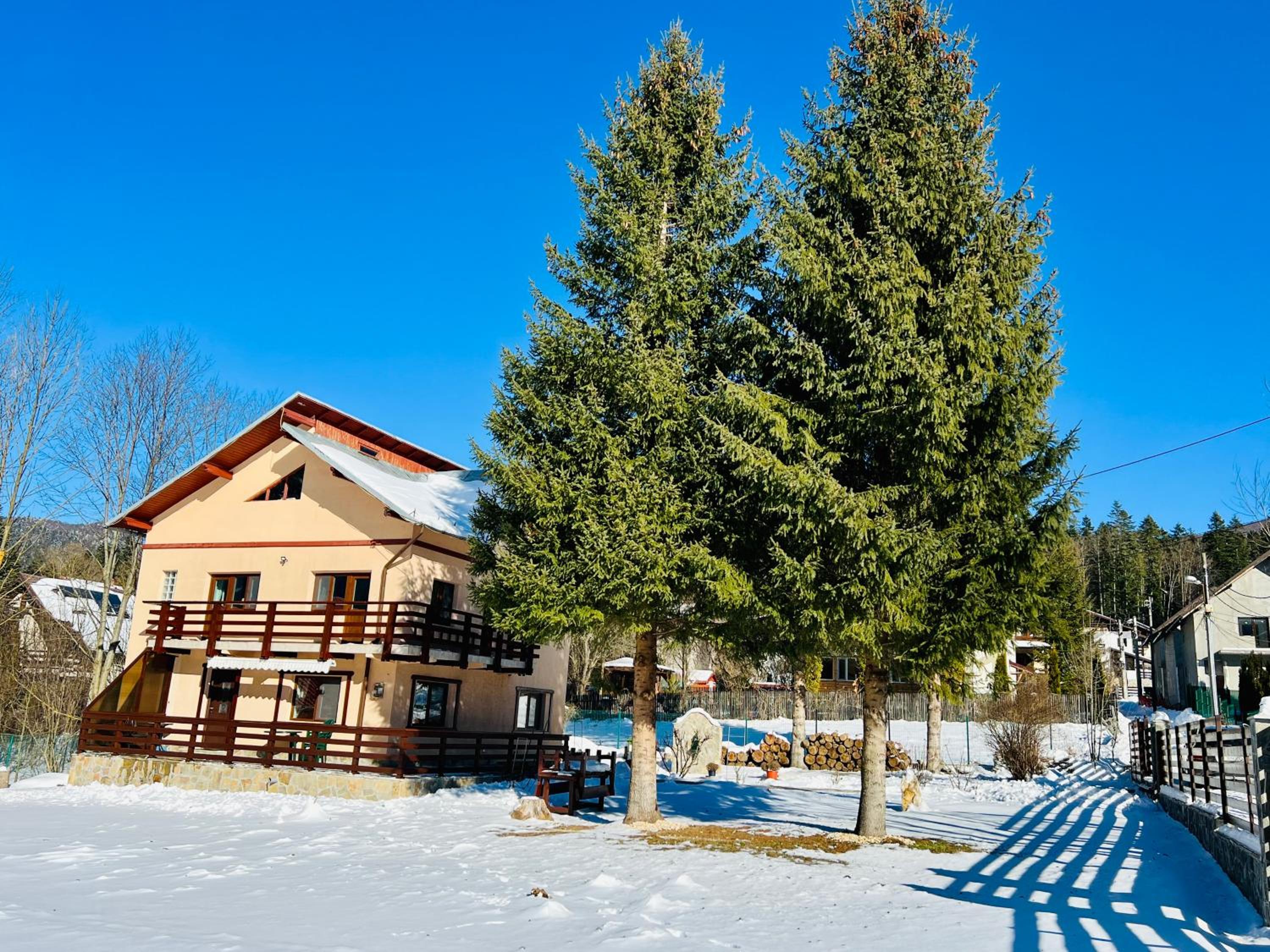 Photo 40