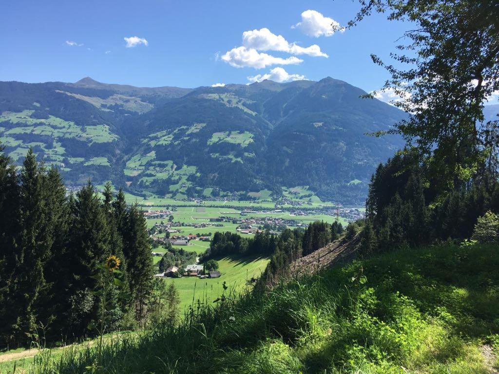 Wildauhof - Alm