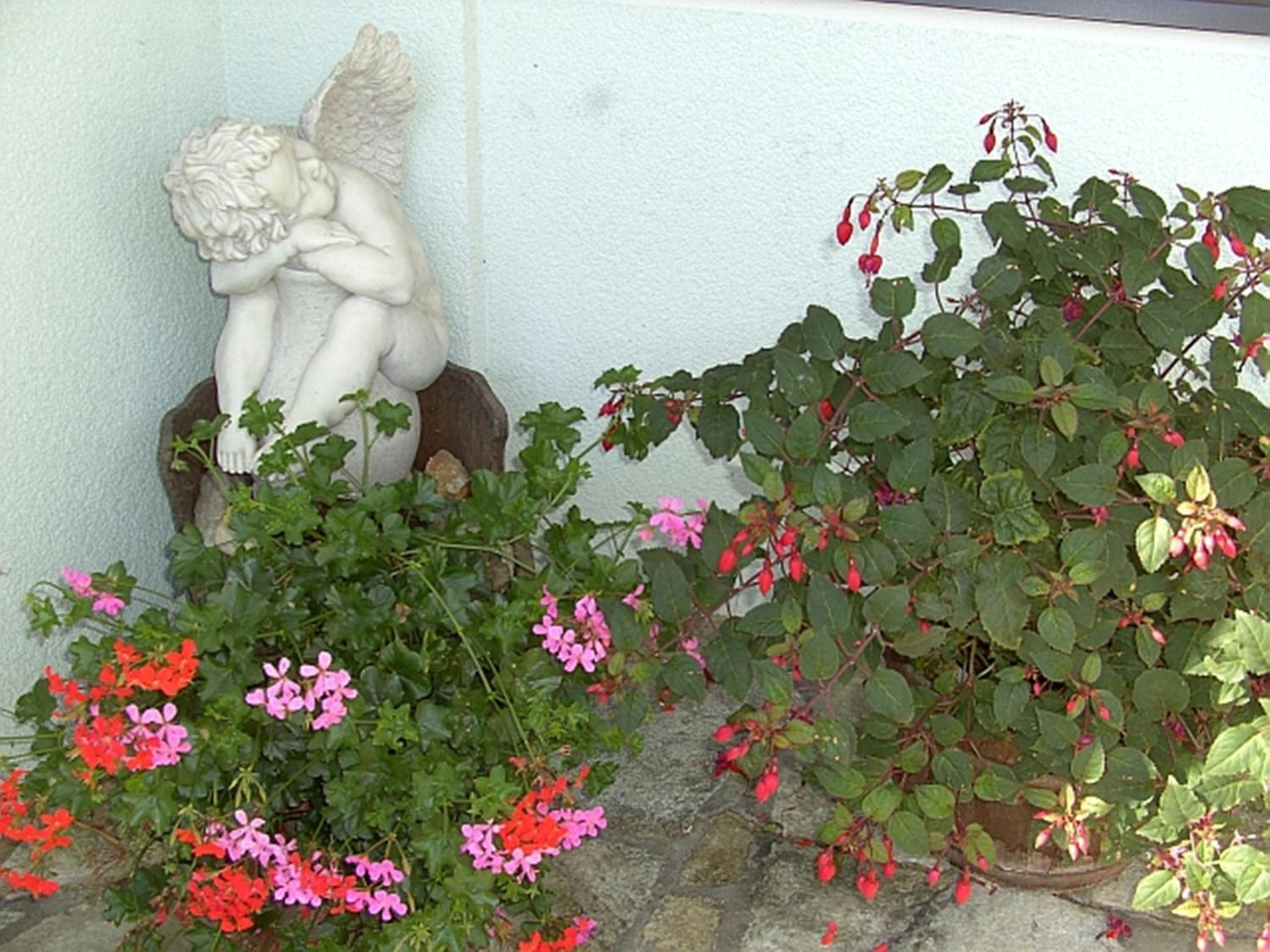 Photo 32