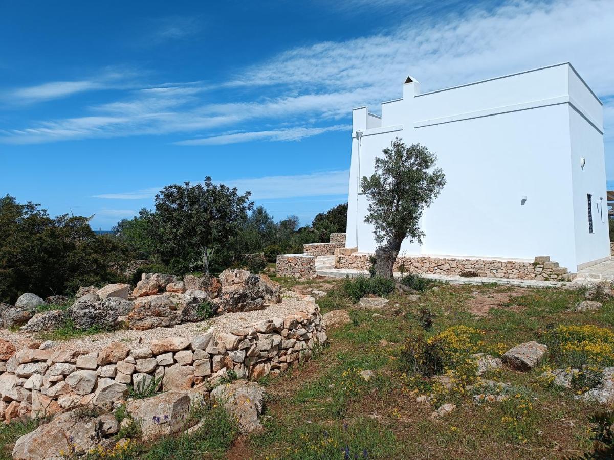 Photo 47