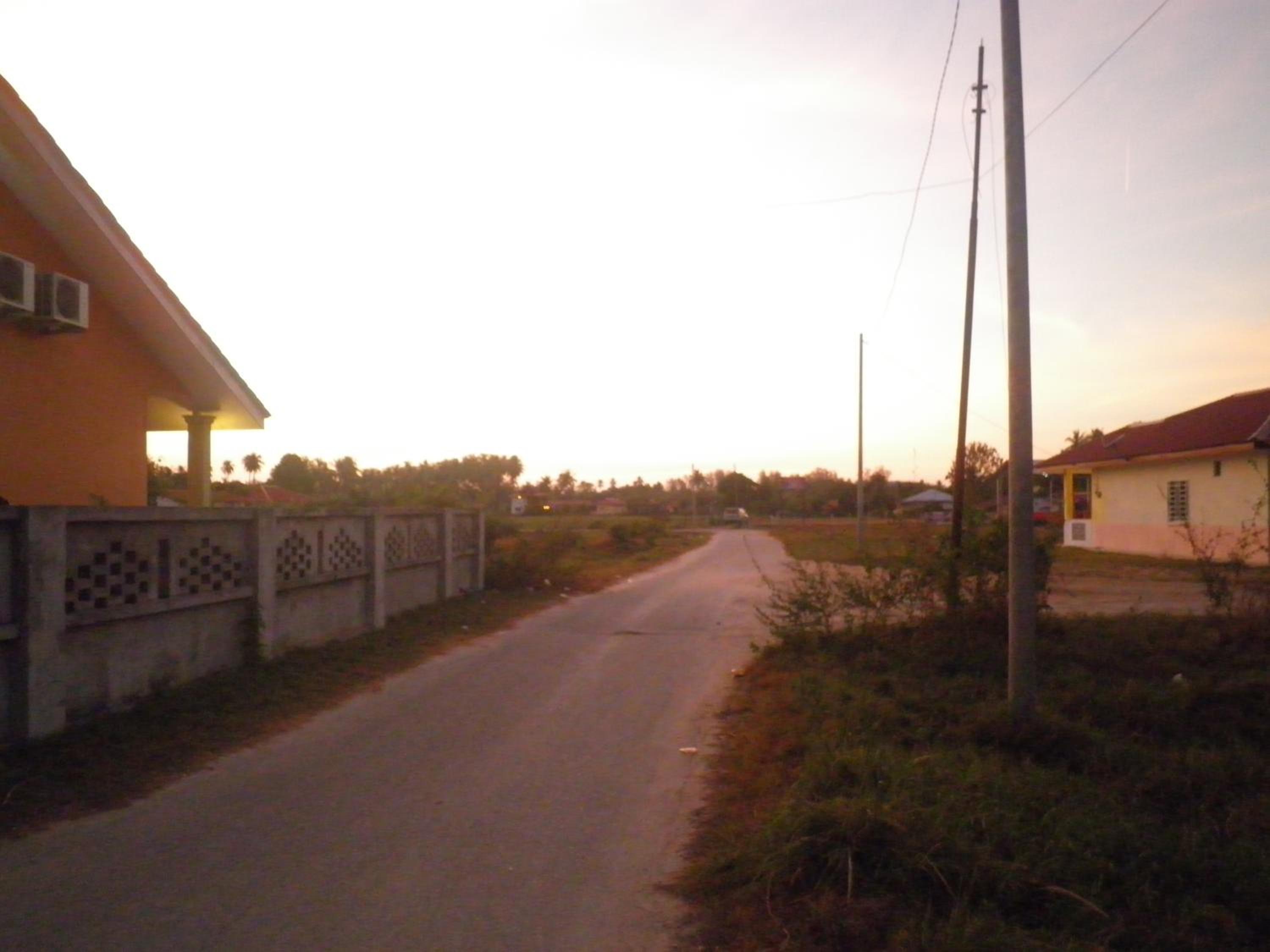Photo 41