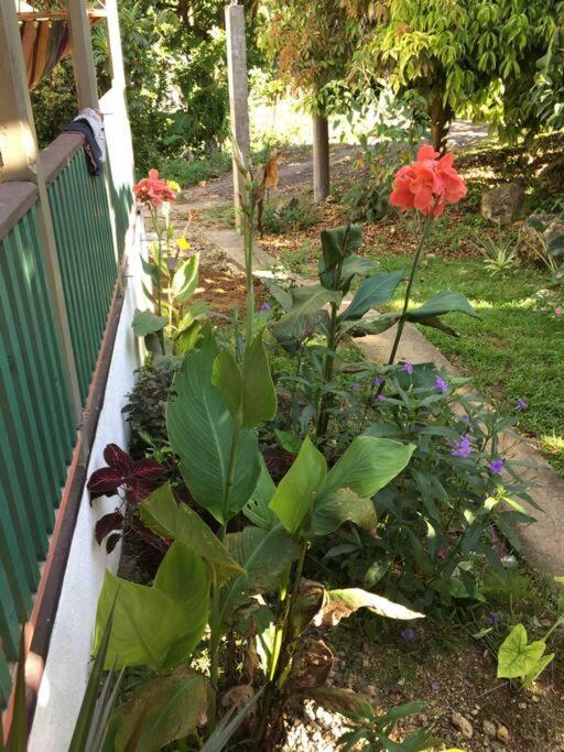 Photo 22