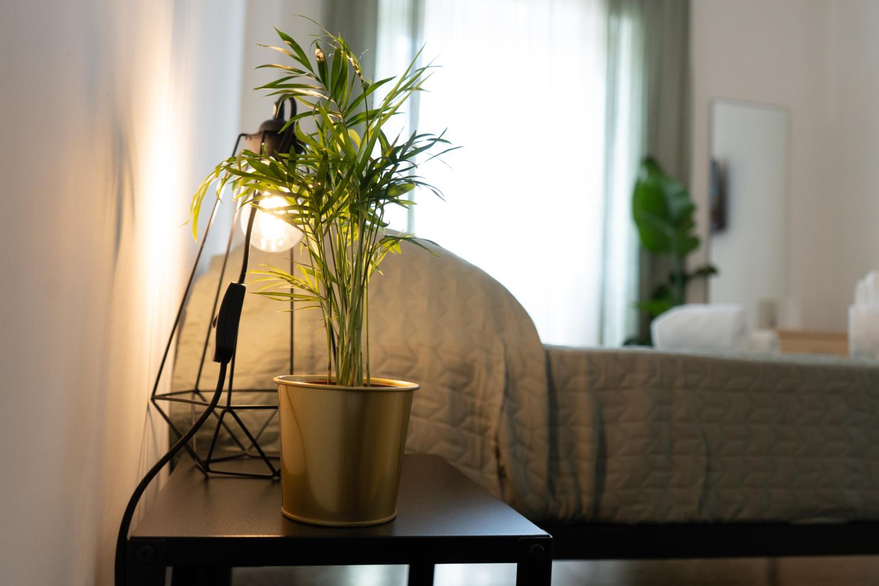 PLANT HOUSE Roma San Paolo