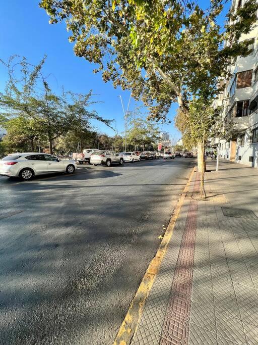 Lujoso depto en Providencia