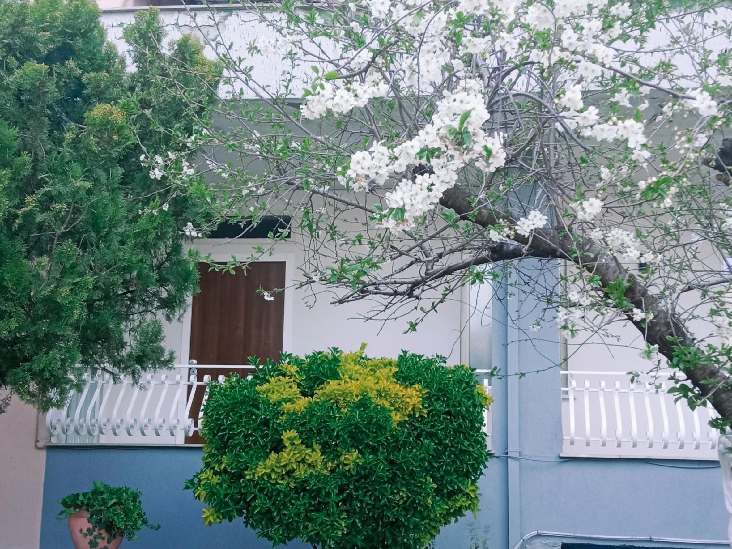 Rachel's guest apartments view 5