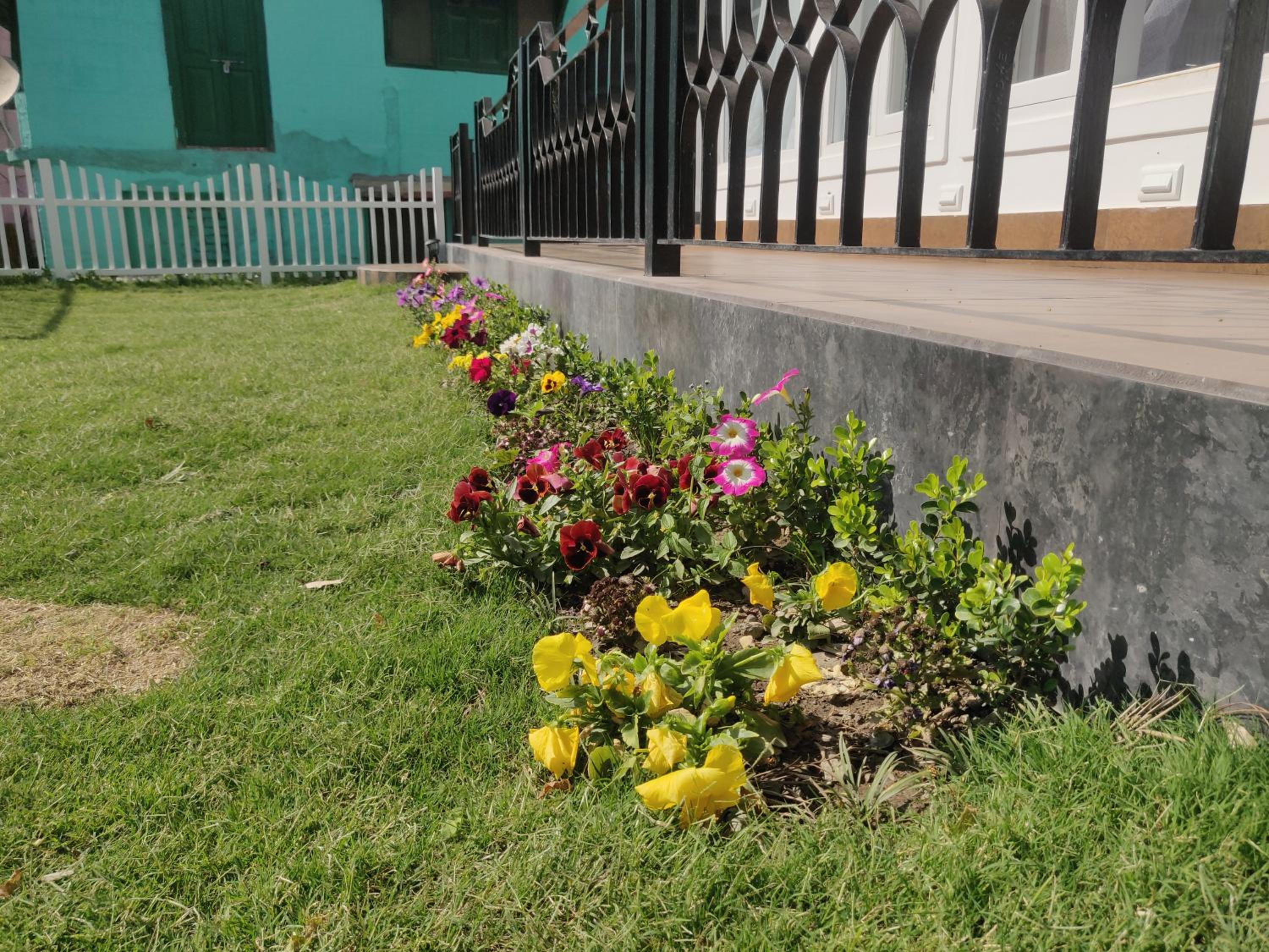 The Periwinkle Homestay Bhimtal