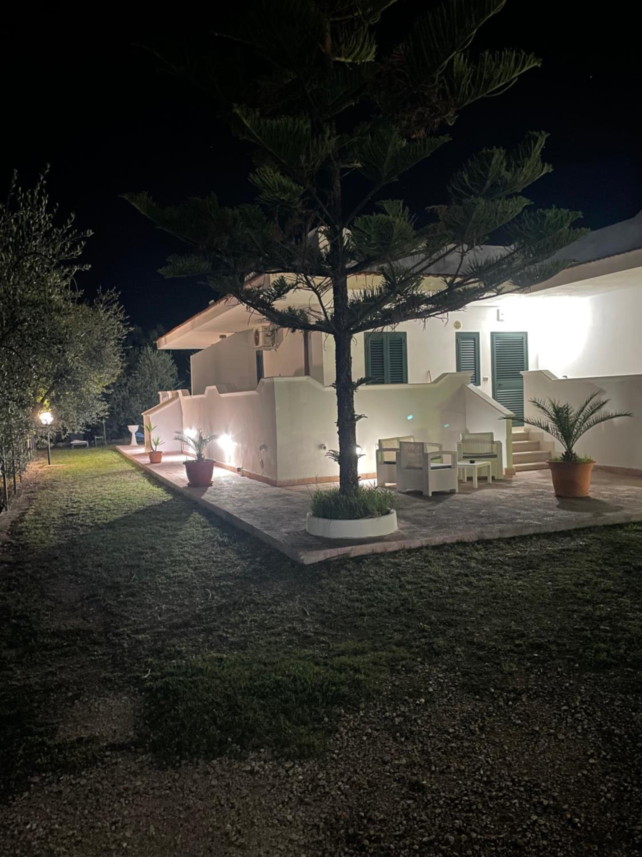 Photo 32