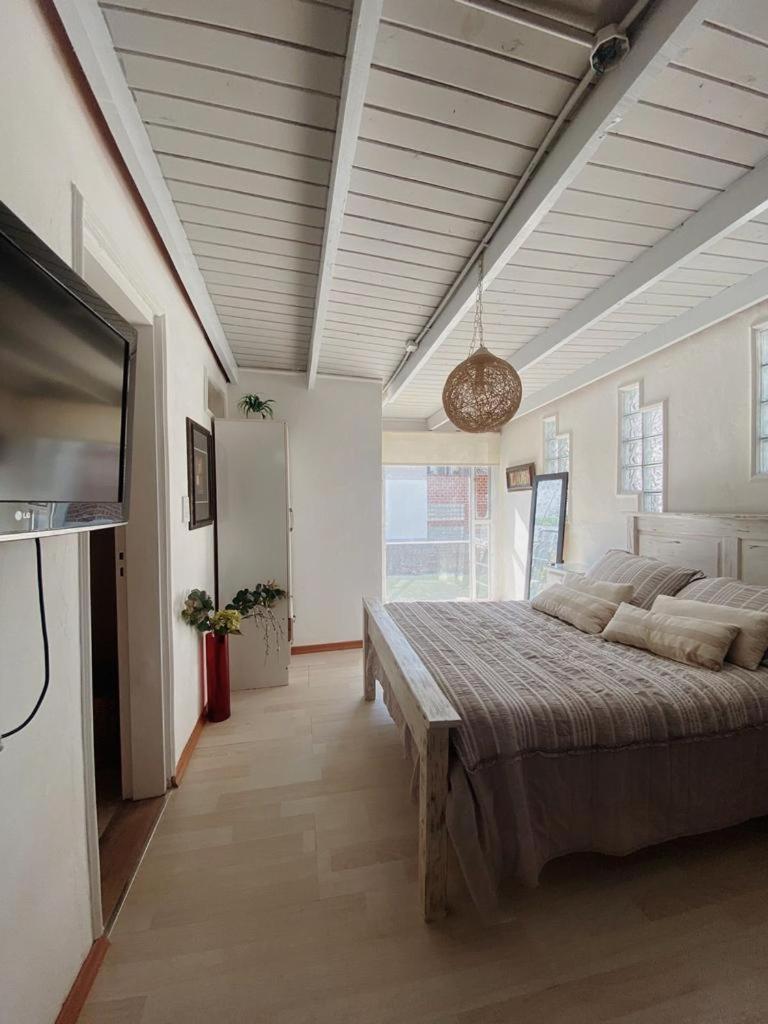Garden Loft