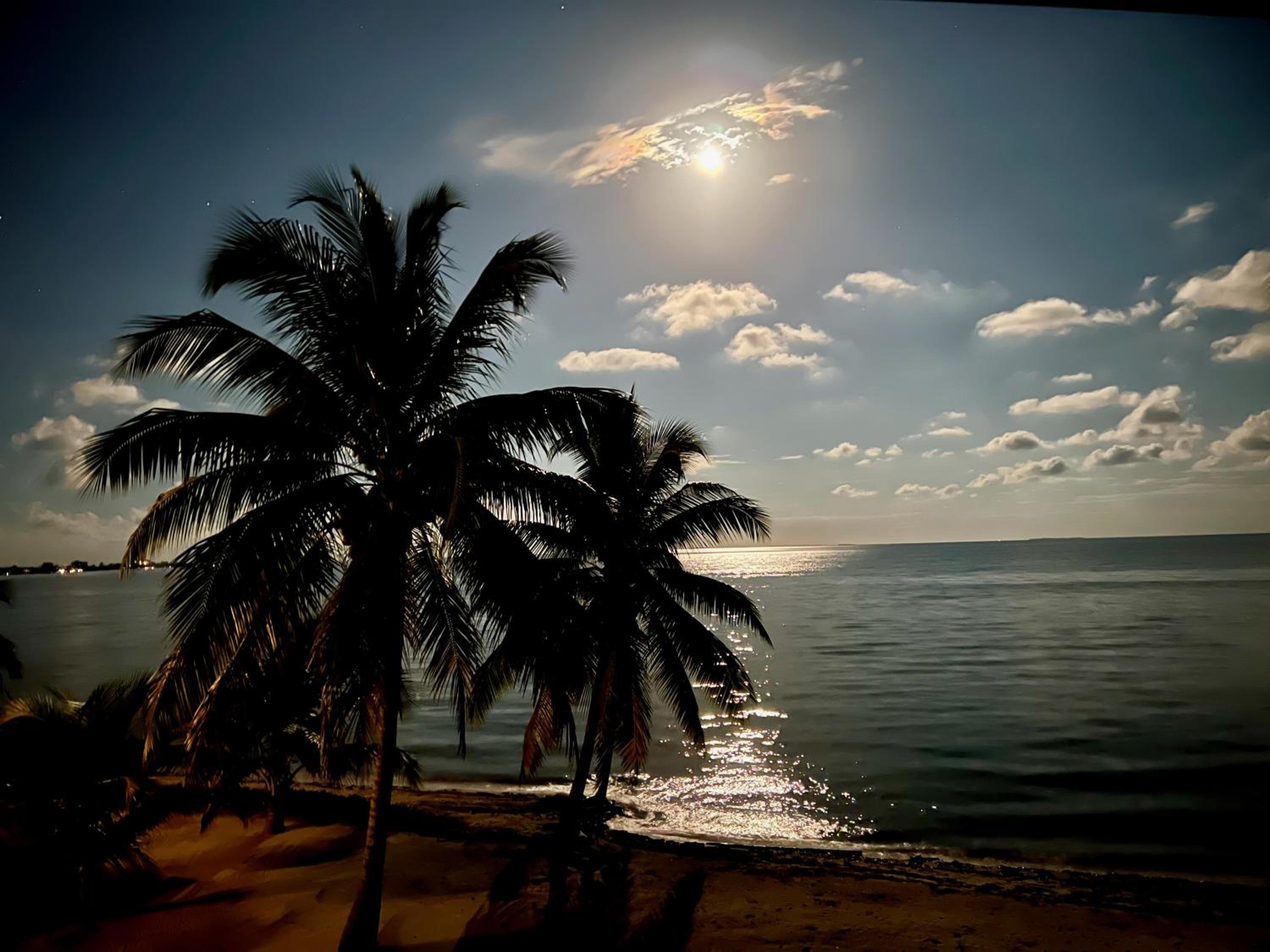 Beachfront Home Kissin' the Caribbean - BELLA SWAY BELIZE