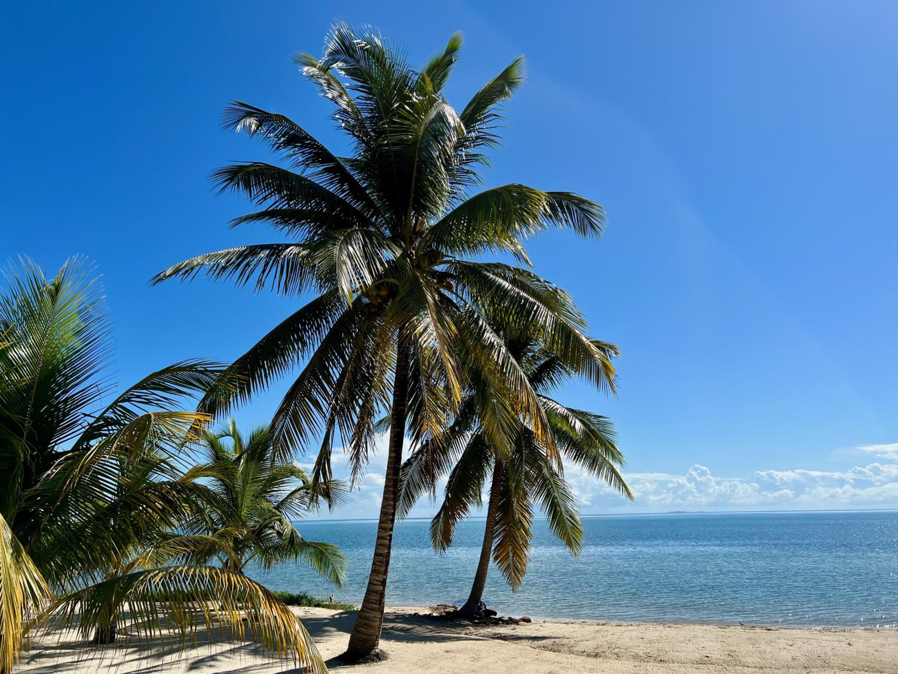 Beachfront Home Kissin' the Caribbean - BELLA SWAY BELIZE