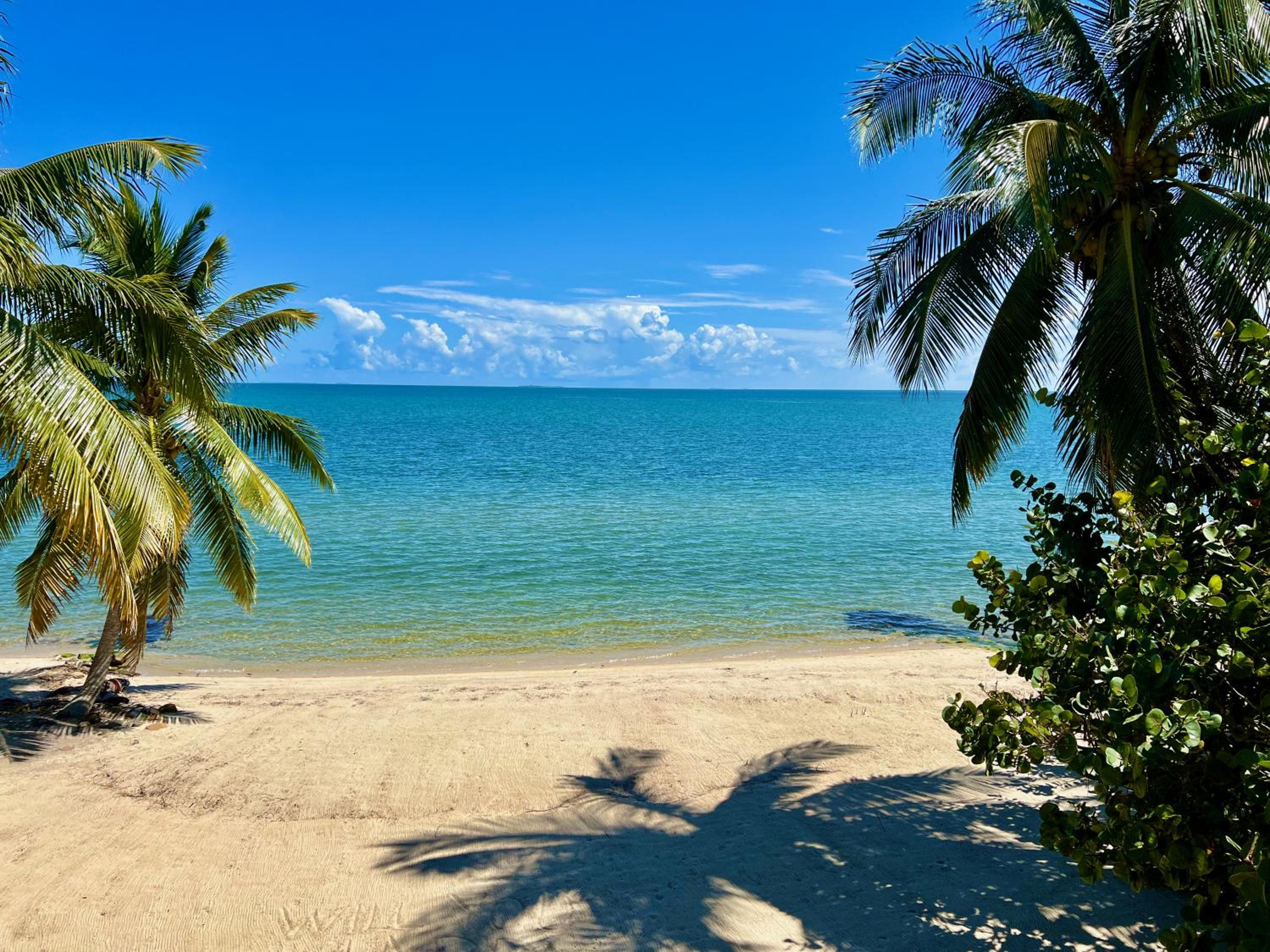 Beachfront Home Kissin' the Caribbean - BELLA SWAY BELIZE