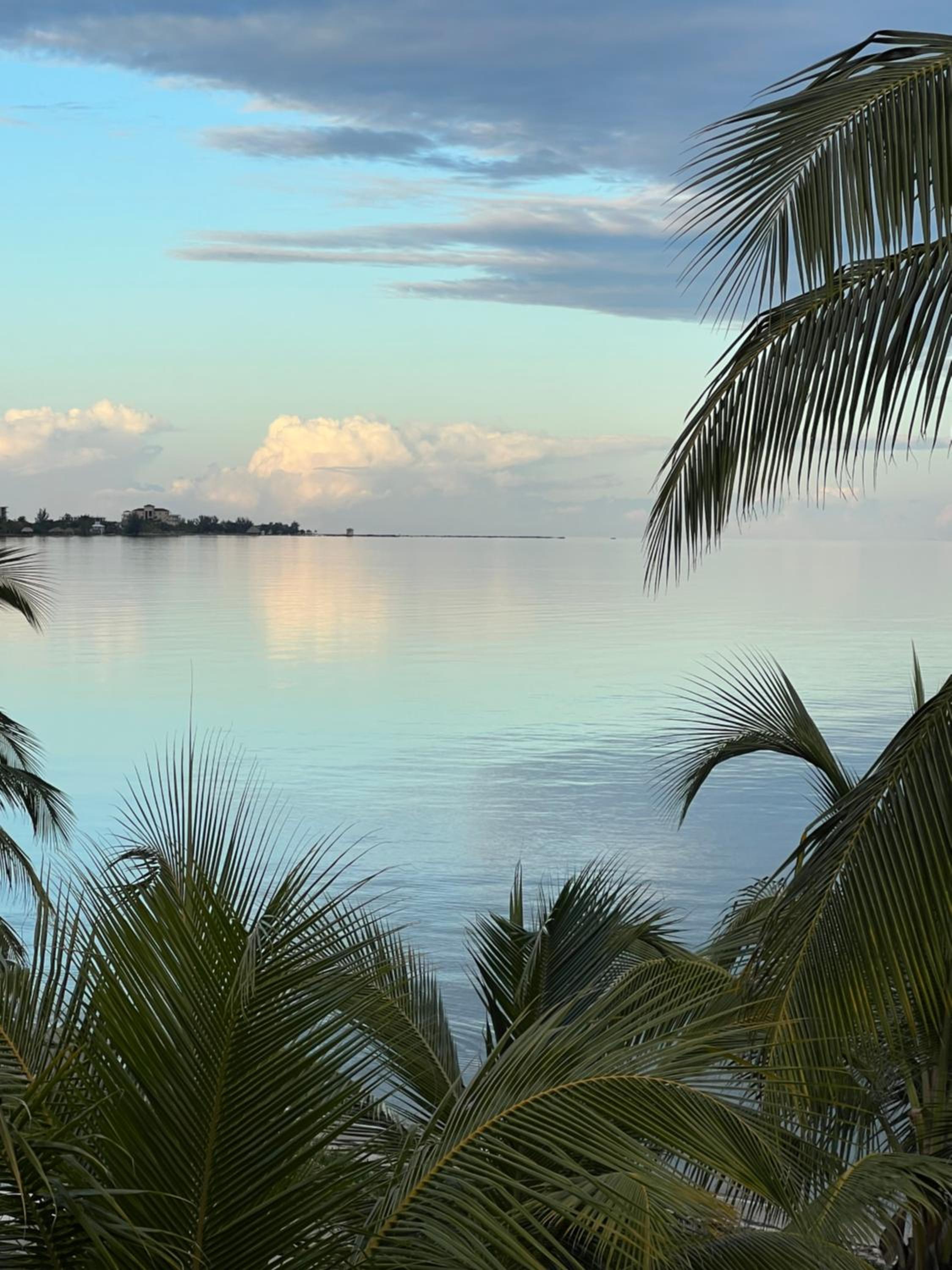 Beachfront Home Kissin' the Caribbean - BELLA SWAY BELIZE
