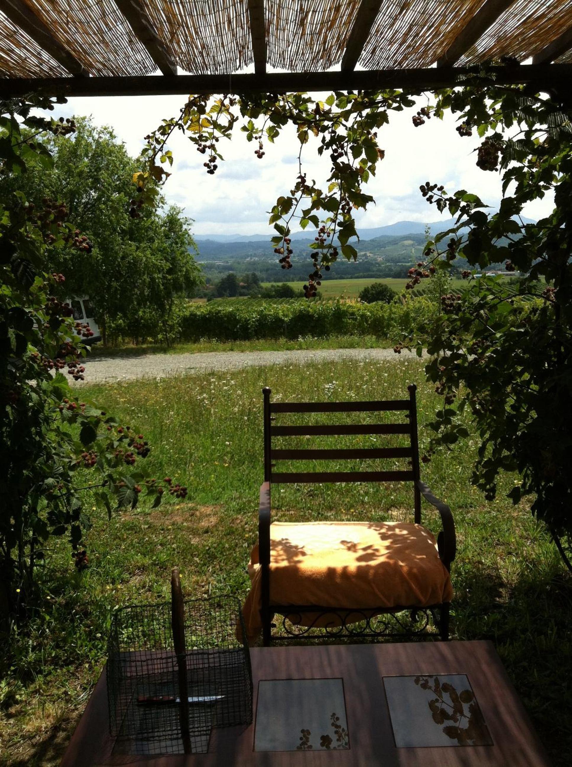 Photo 26