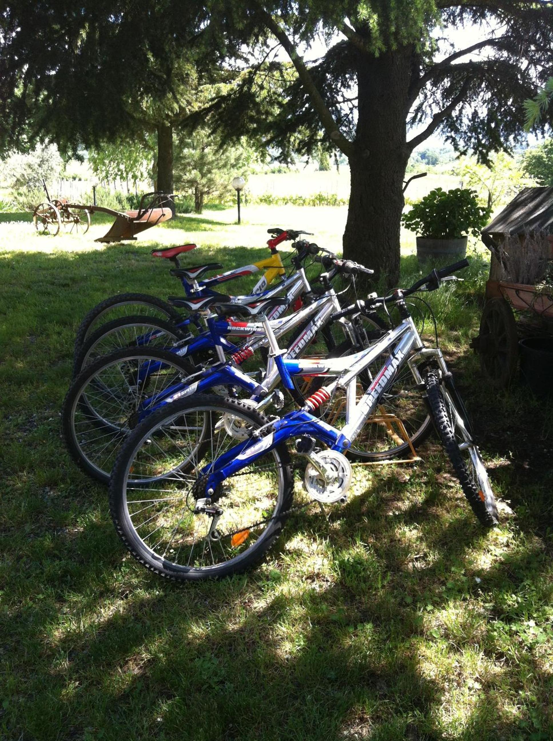 Photo 18
