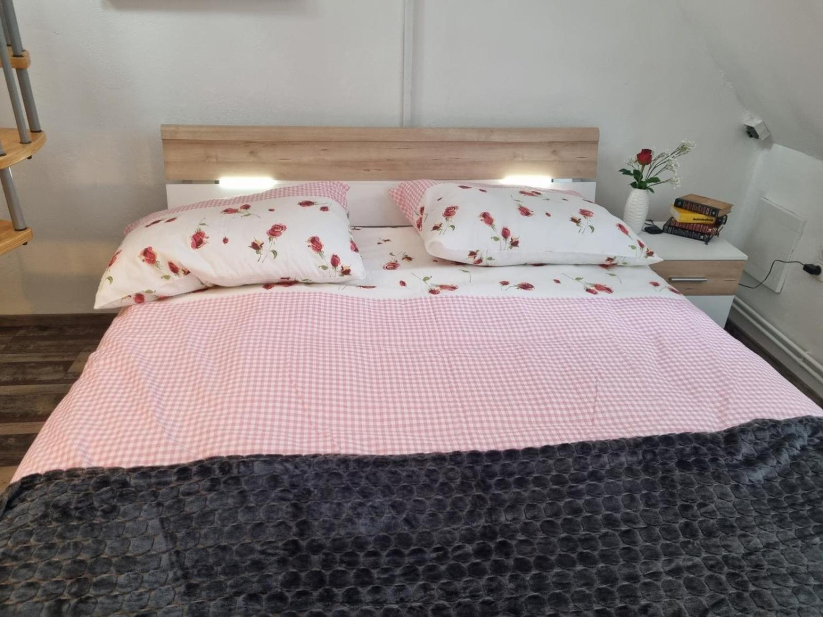 Pension DonauBlick Grein 2 in Stifterstrasse 19A