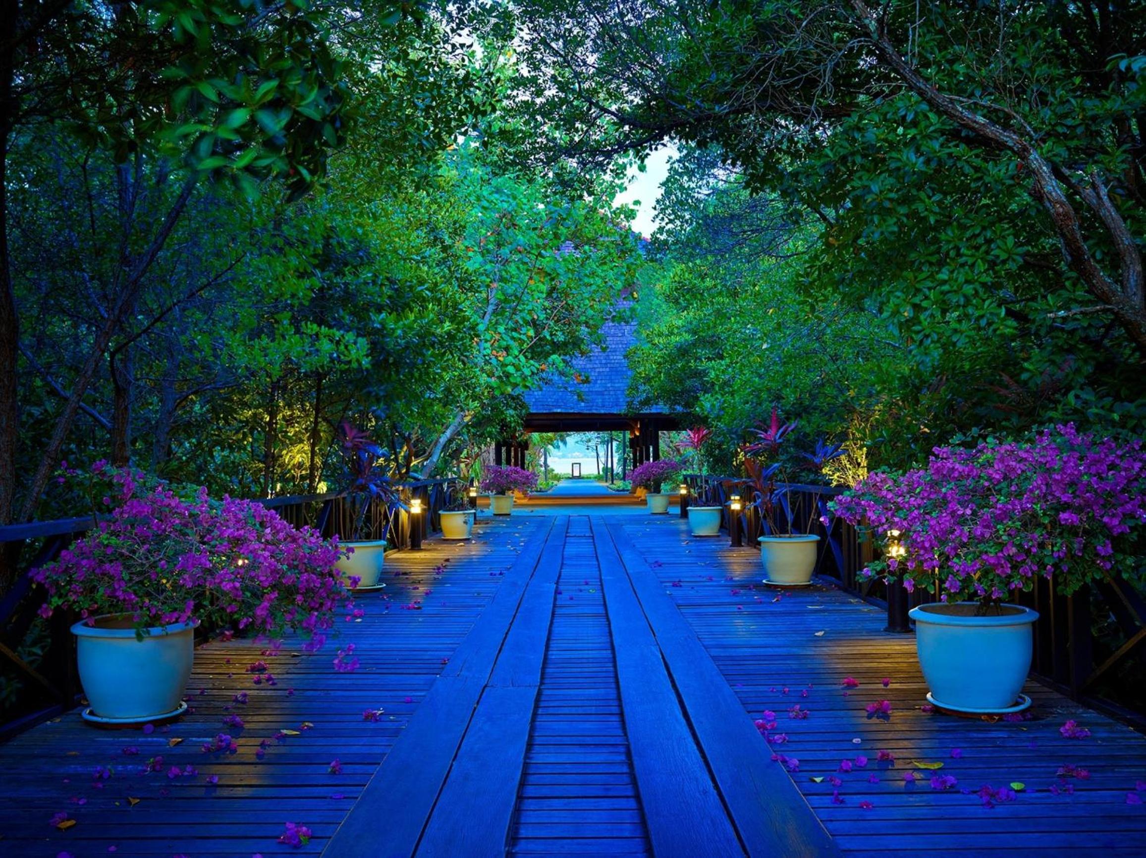 Rebak Island Resort & Marina, Langkawi 大自然 野生动物与美食爱好者的天堂 photo 5