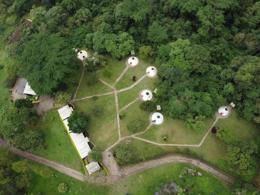Bosque de Aventura & Glamping El Refugio del Bosque