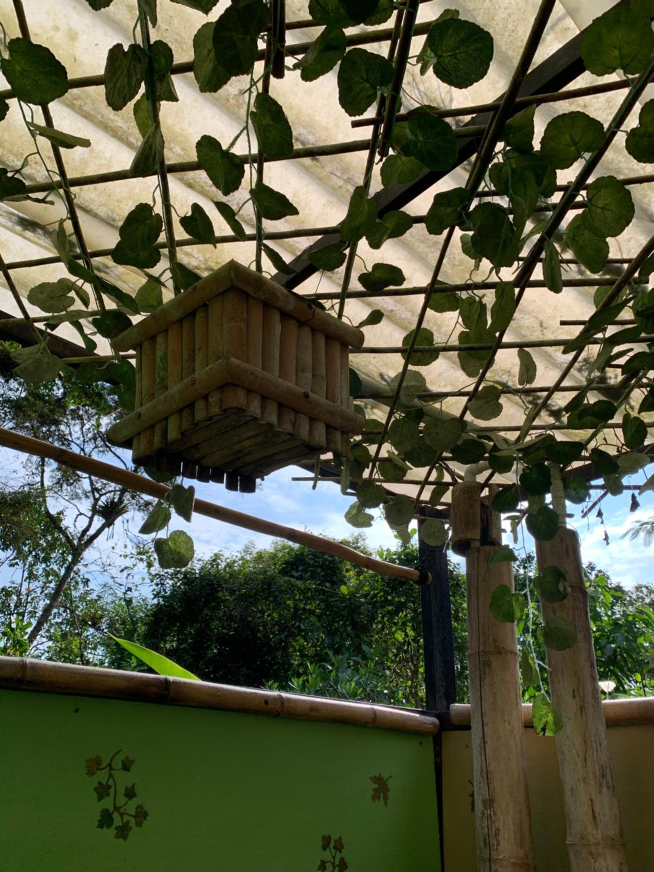 Bosque de Aventura & Glamping El Refugio del Bosque