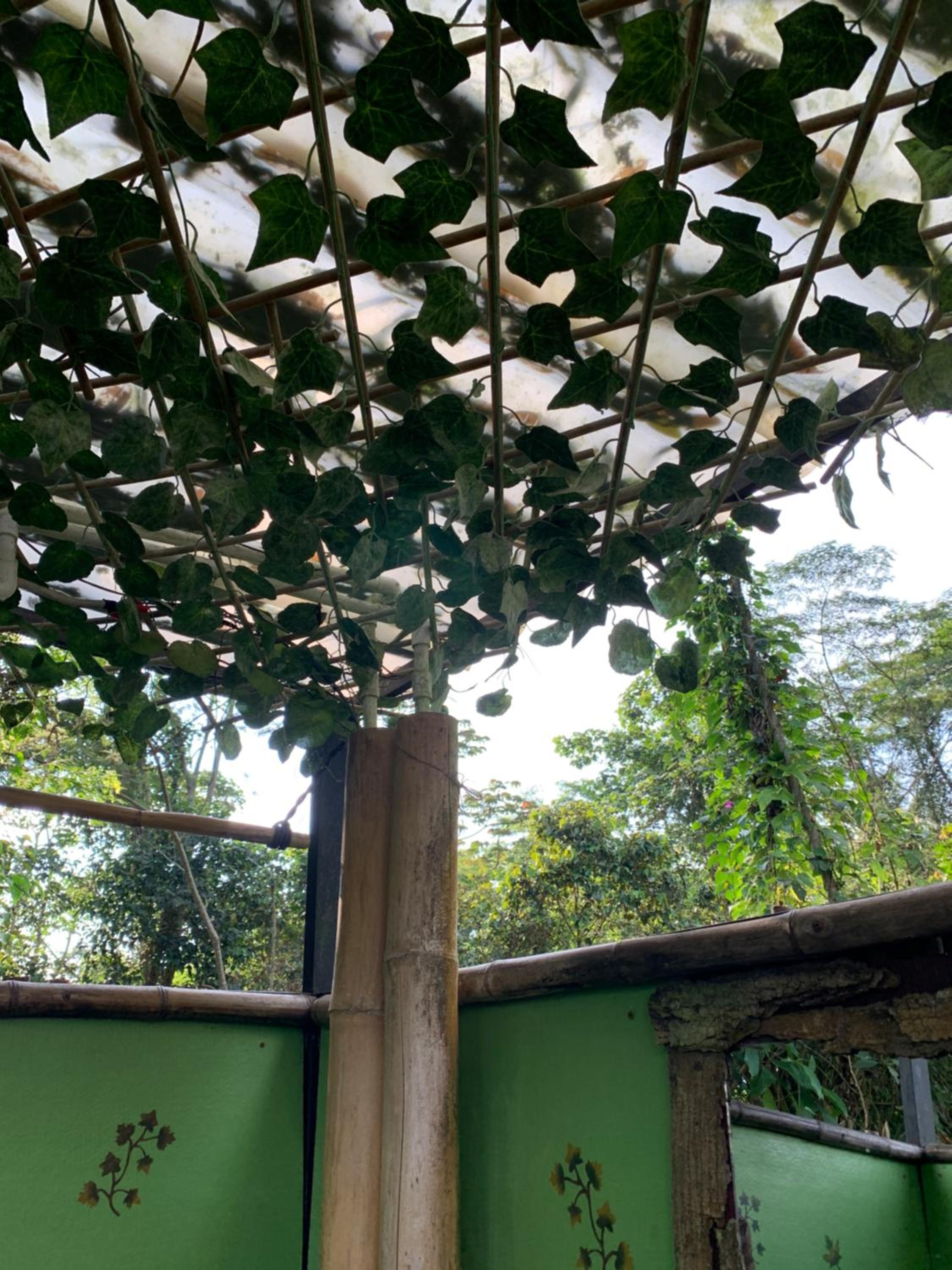 Bosque de Aventura & Glamping El Refugio del Bosque