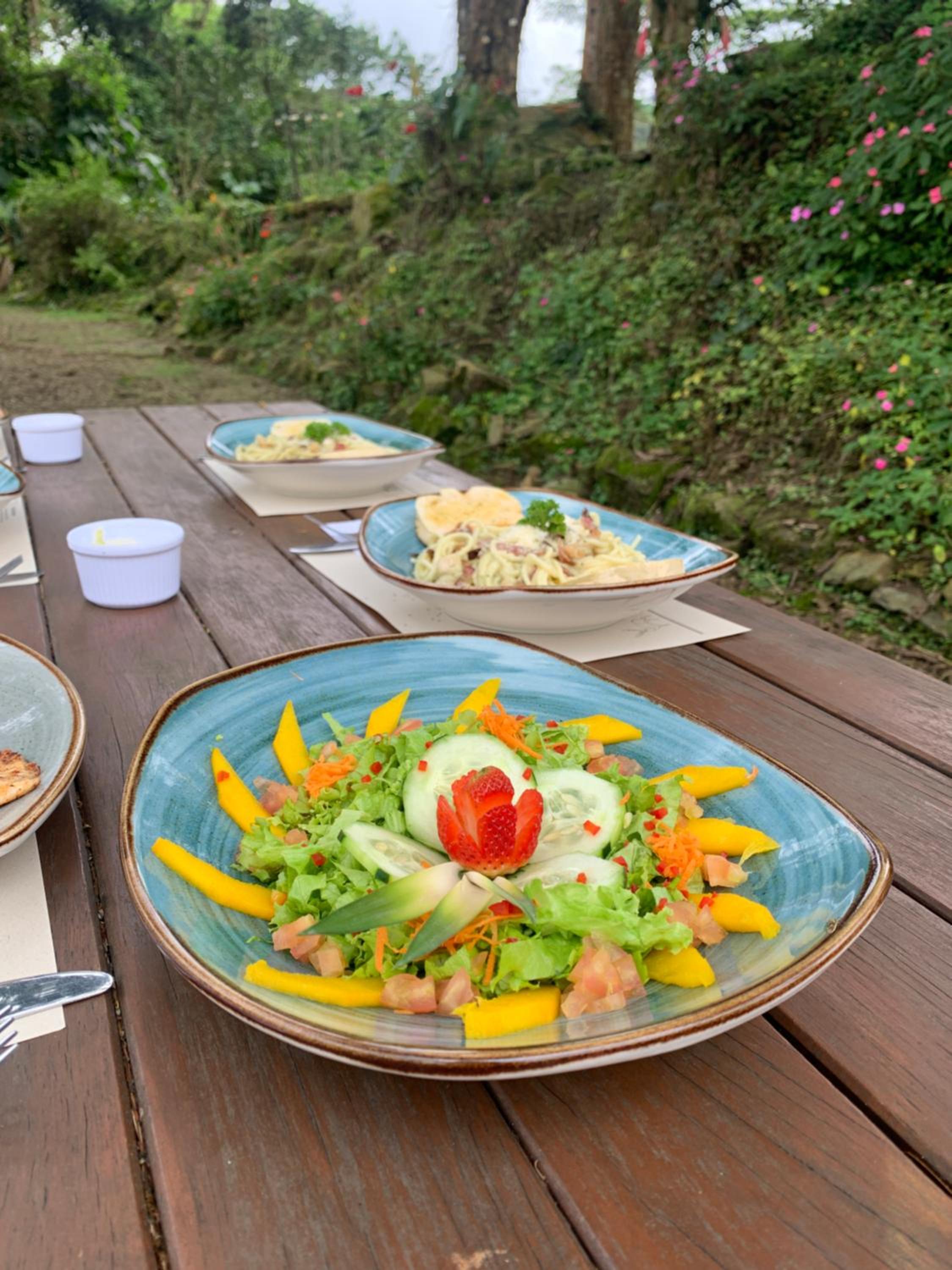 Bosque de Aventura & Glamping El Refugio del Bosque
