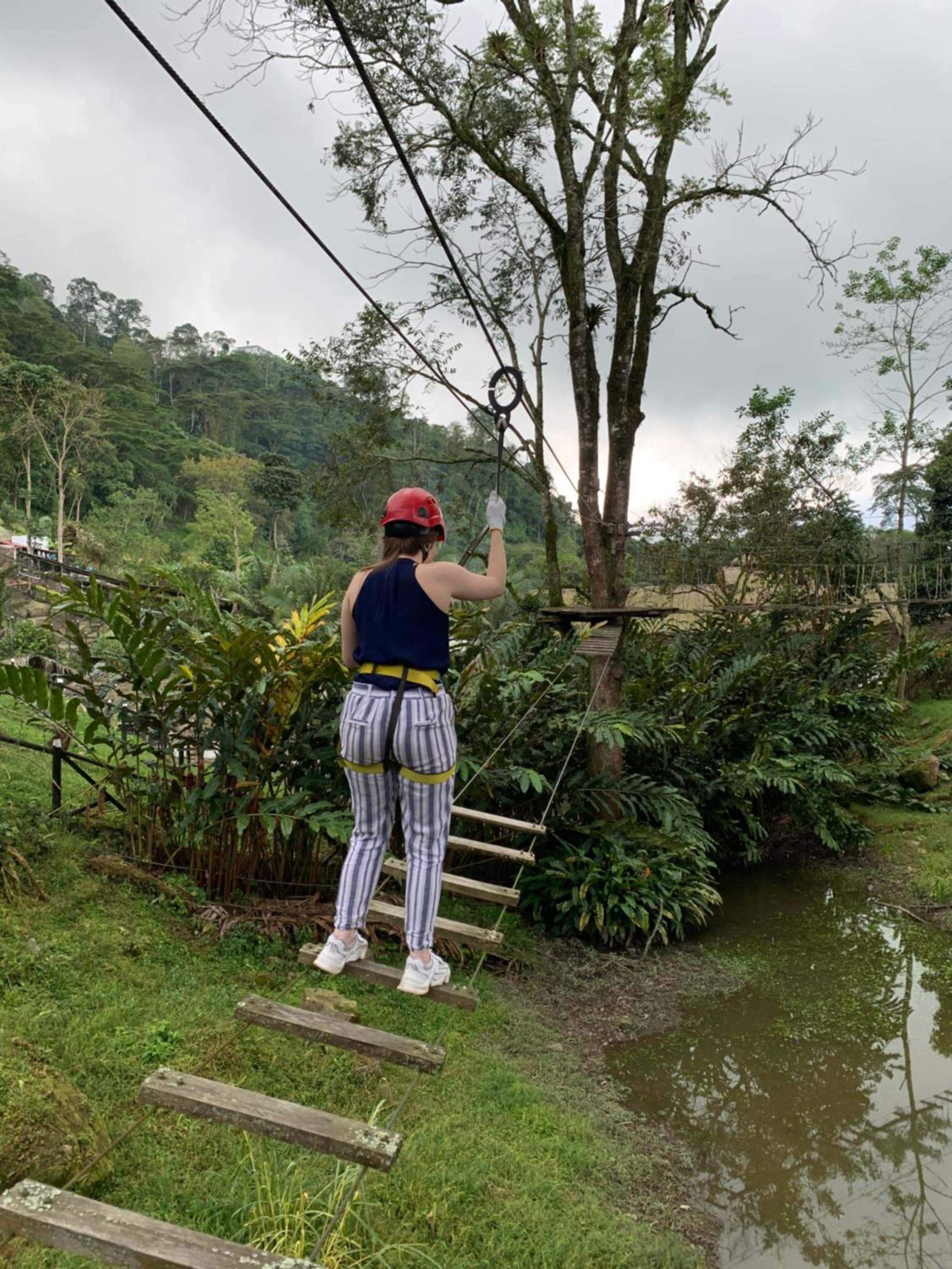 Bosque de Aventura & Glamping El Refugio del Bosque