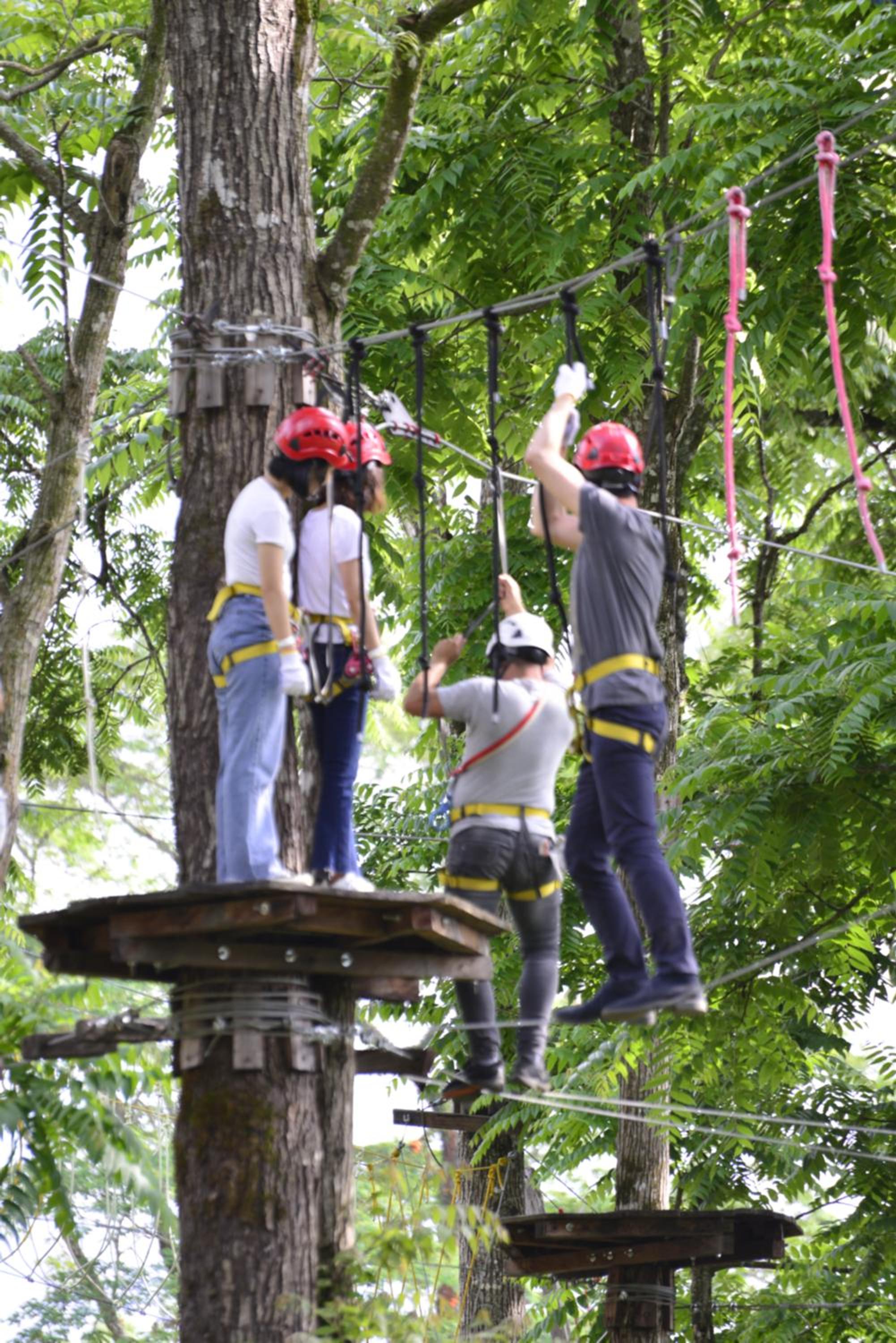 Bosque de Aventura & Glamping El Refugio del Bosque