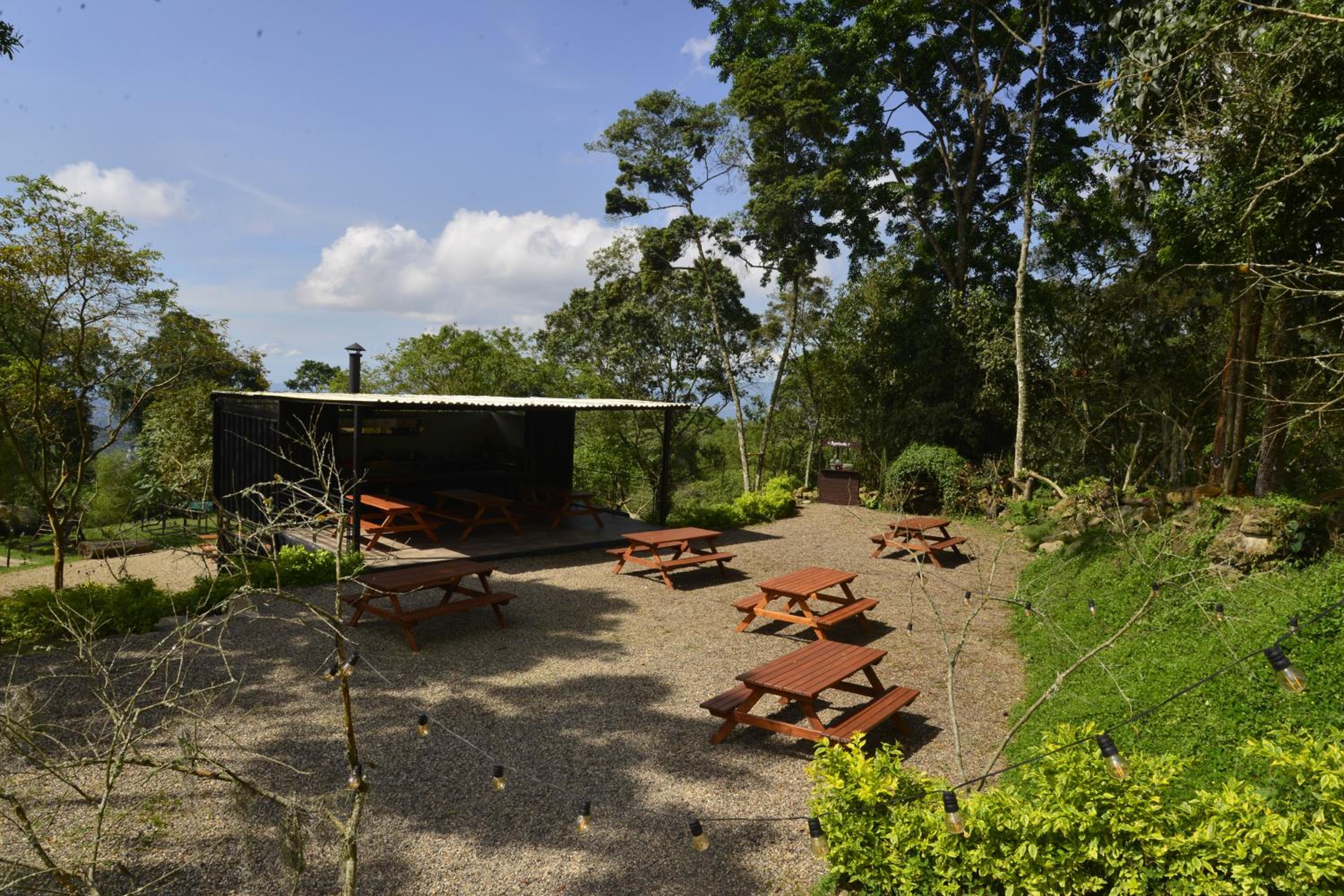 Bosque de Aventura & Glamping El Refugio del Bosque