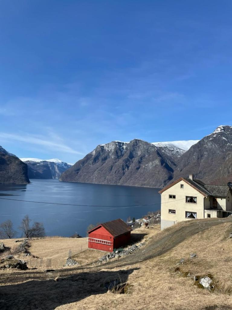 Aurland Stegastein Apartment