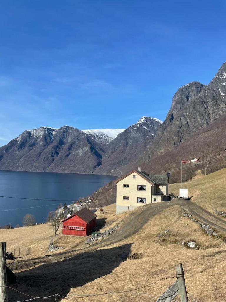 Aurland Stegastein Apartment