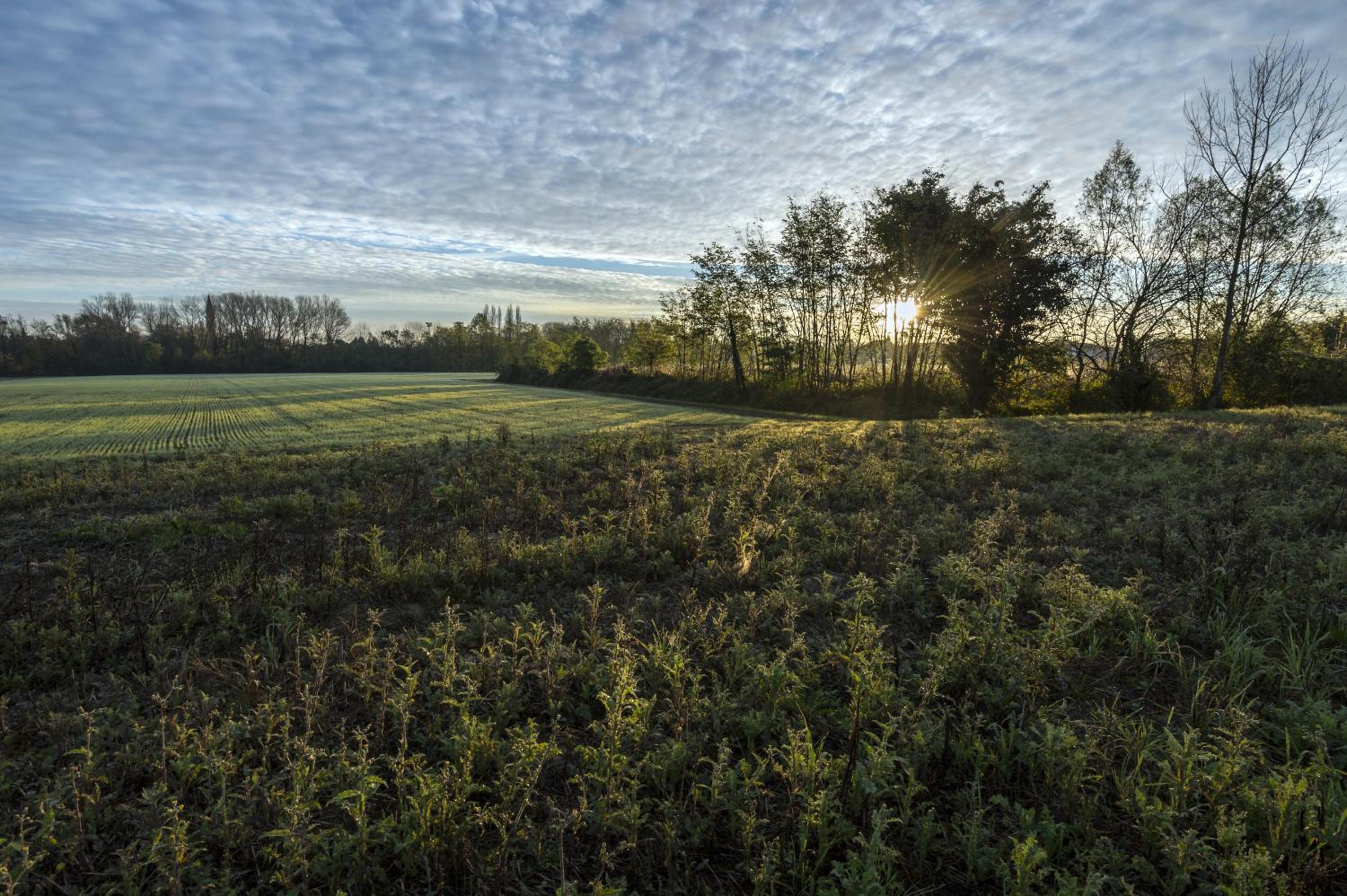 Bed and Breakfast Sile e Natura, photo 10