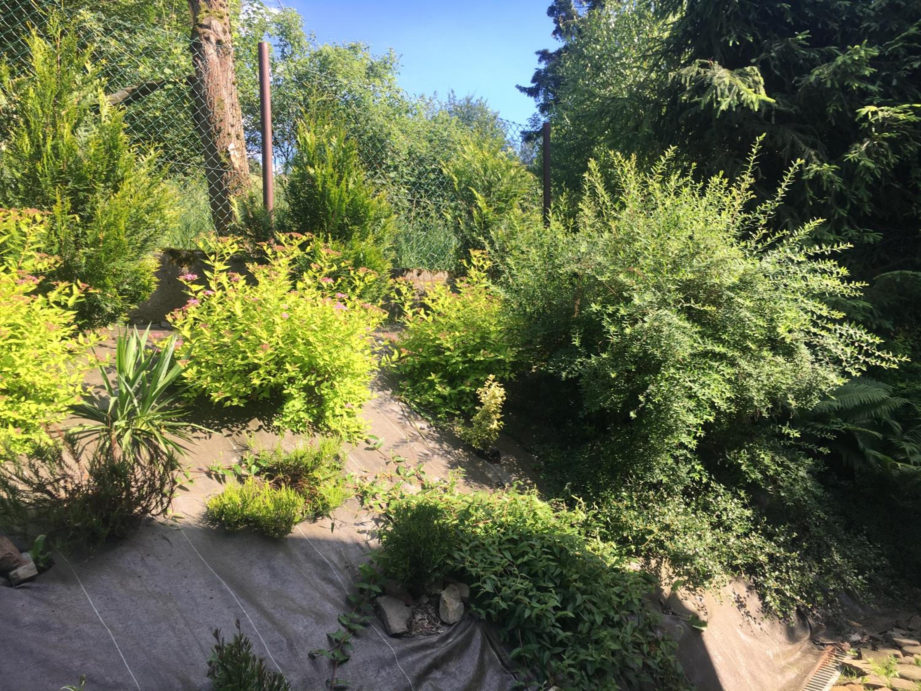 Photo 20
