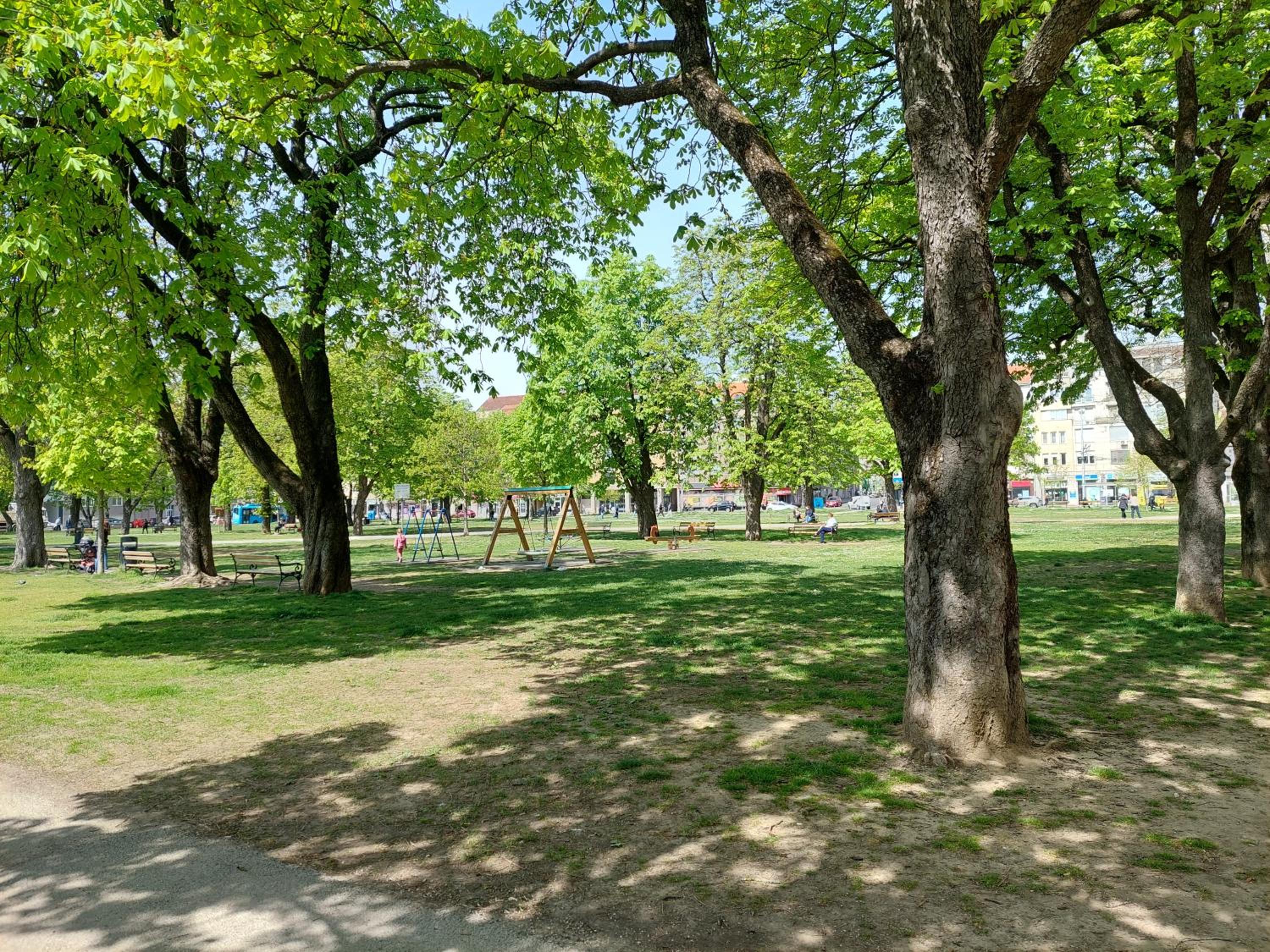 Photo 19