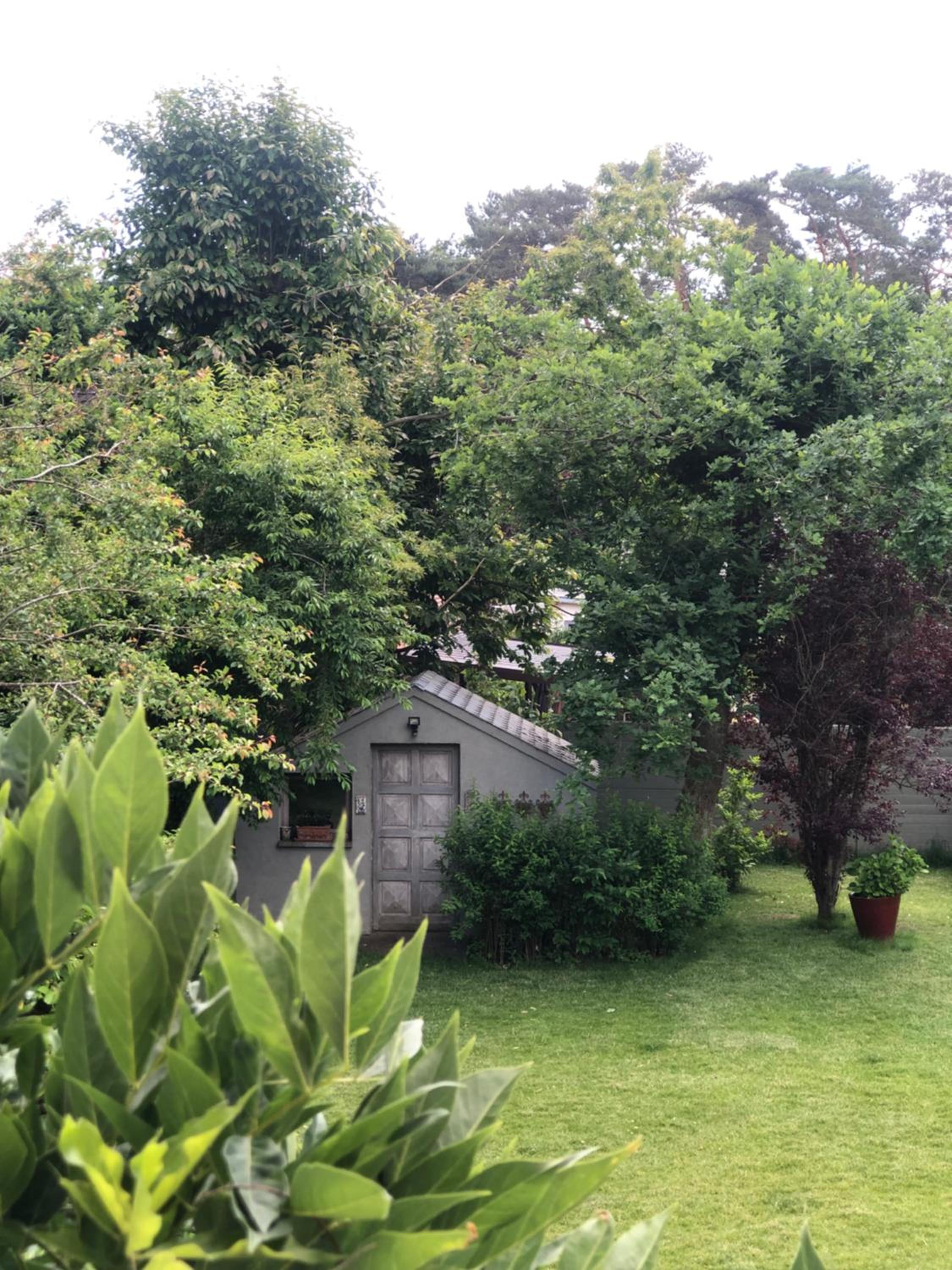 Photo 47