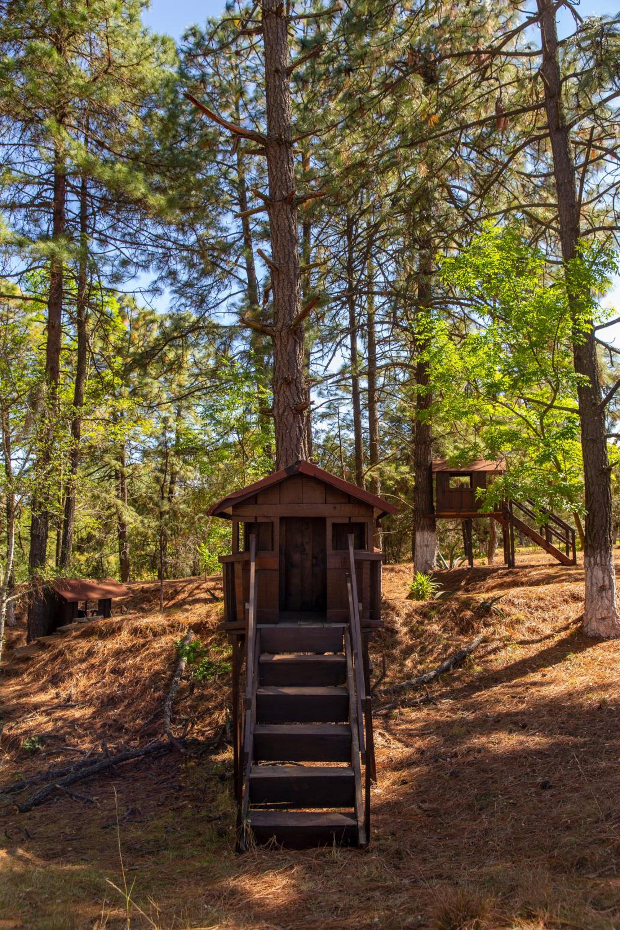 Hotel & Glamping Huasca Sierra Verde